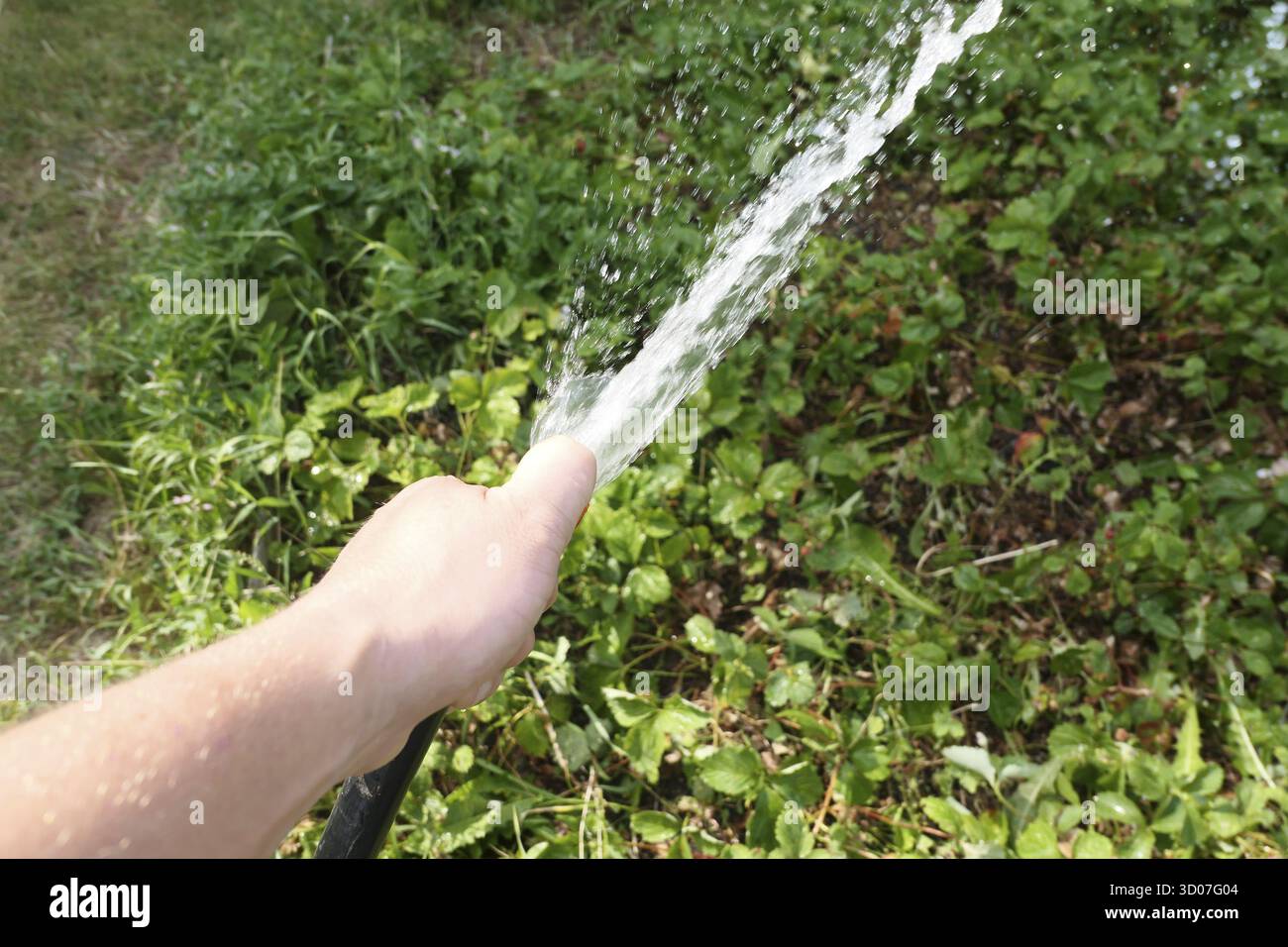 Nahaufnahme von Hand mit Schlauch Stockfoto