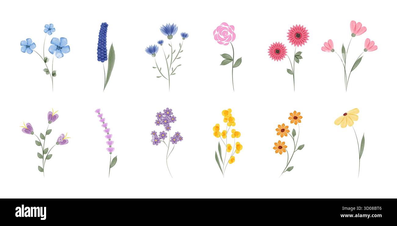 Ein Satz von zehn Aquarellen, die verschiedene Arten von Blumen darstellen. Jede Blume hat eine einzigartige Farbe und Form, wodurch eine vielfältige und schöne Kollektion entsteht. Stock Vektor