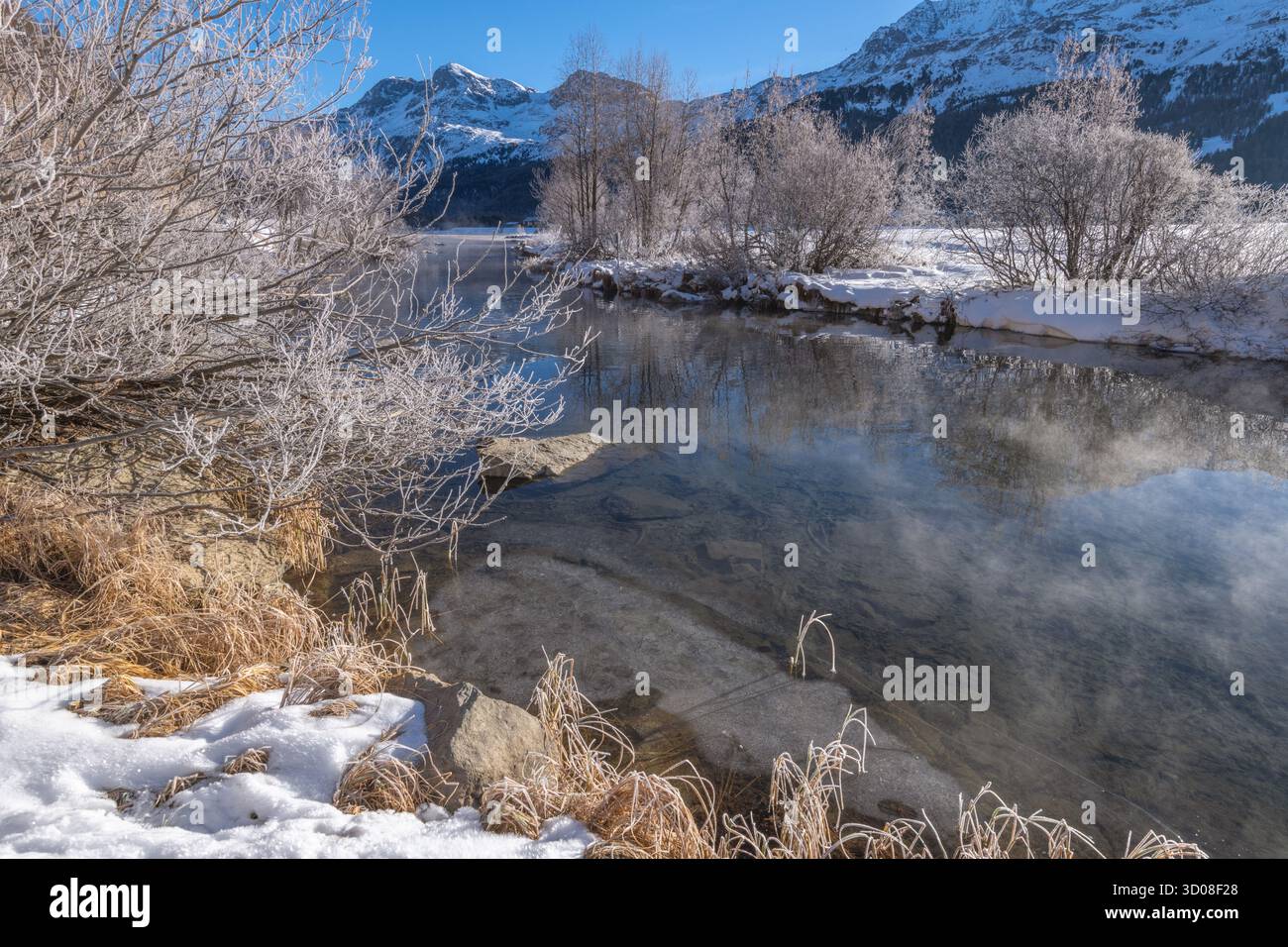 Fluss Sils im Engadin-Tal in der Schweiz an einem frischen, sonnigen Wintertag, gefrorene Bäume bedeckt mit Frost, Berge, Verdunstung vom klaren Fluss. Stockfoto