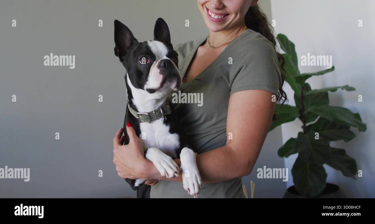 Frau im Olive Hemd, die Boston Terrier Hund mit grünem Kragen zu Hause, mit Feigenpflanze Stockfoto