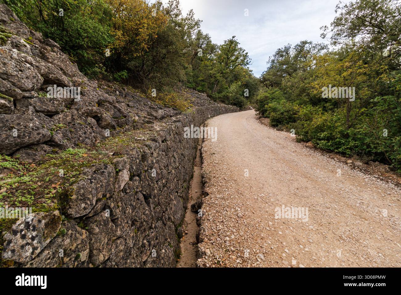 Waldweg zum Gipfel des Naturparks Carrascal de la Font Roja in Alcoy, Spanien Stockfoto