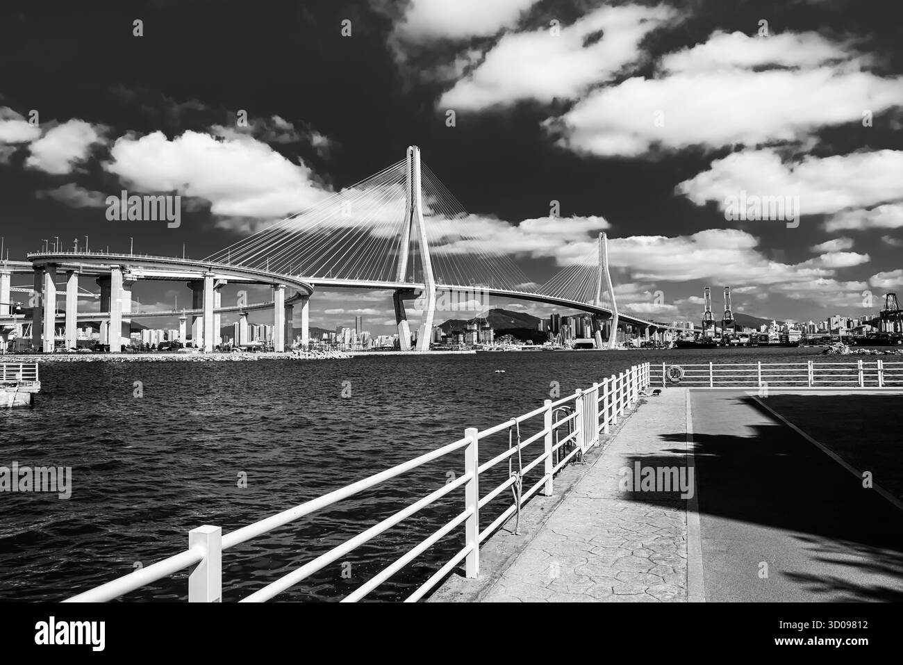 Die Cable-Brückenbrücke dominiert das Stadtbild von Busan und den Hafen in Schwarz-weiß Stockfoto