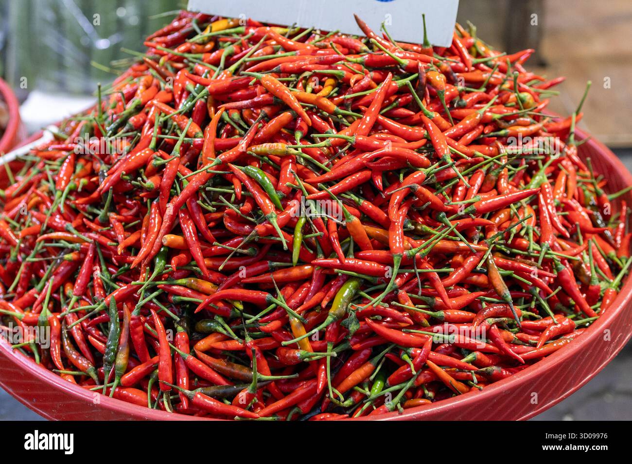 Aus nächster Nähe sehen Sie frische rote und grüne Chili-Paprika, die sich in ihren leuchtenden Farben stapeln. Stockfoto