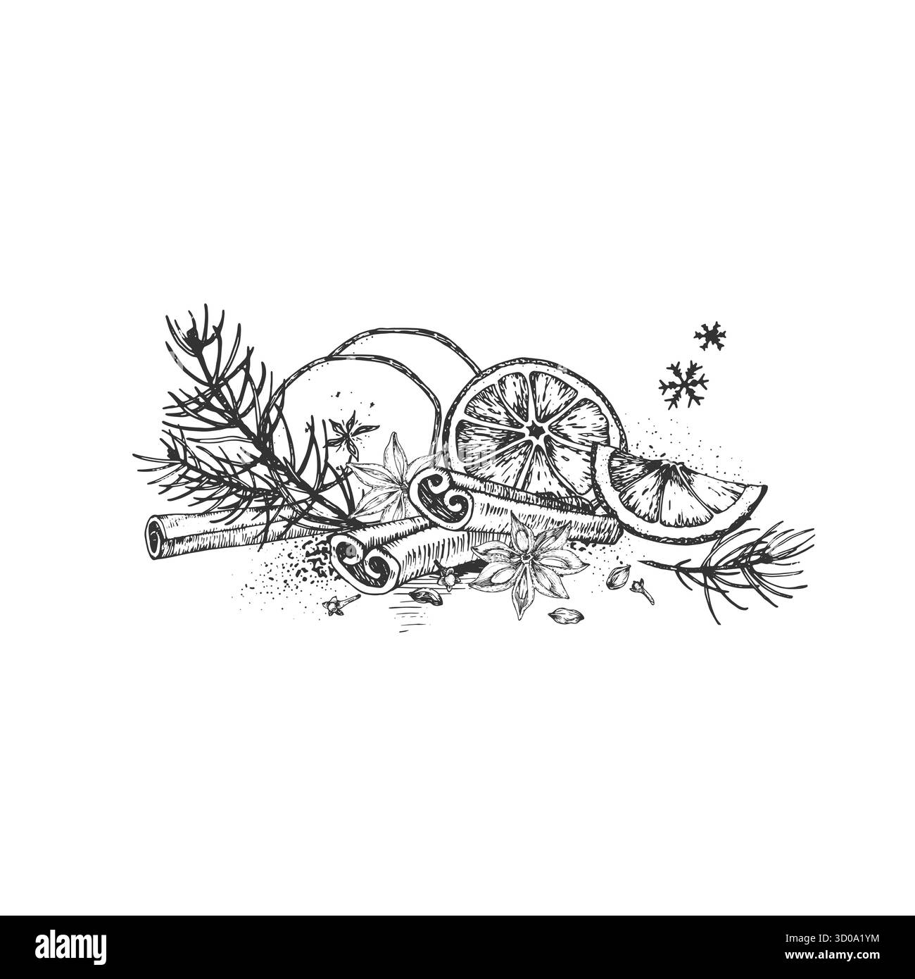 Gewürze und Früchte für warme Wintergetränke. Zimt, Anis, Kardamom, Nelken, getrocknete Orange und Apfel. Stock Vektor