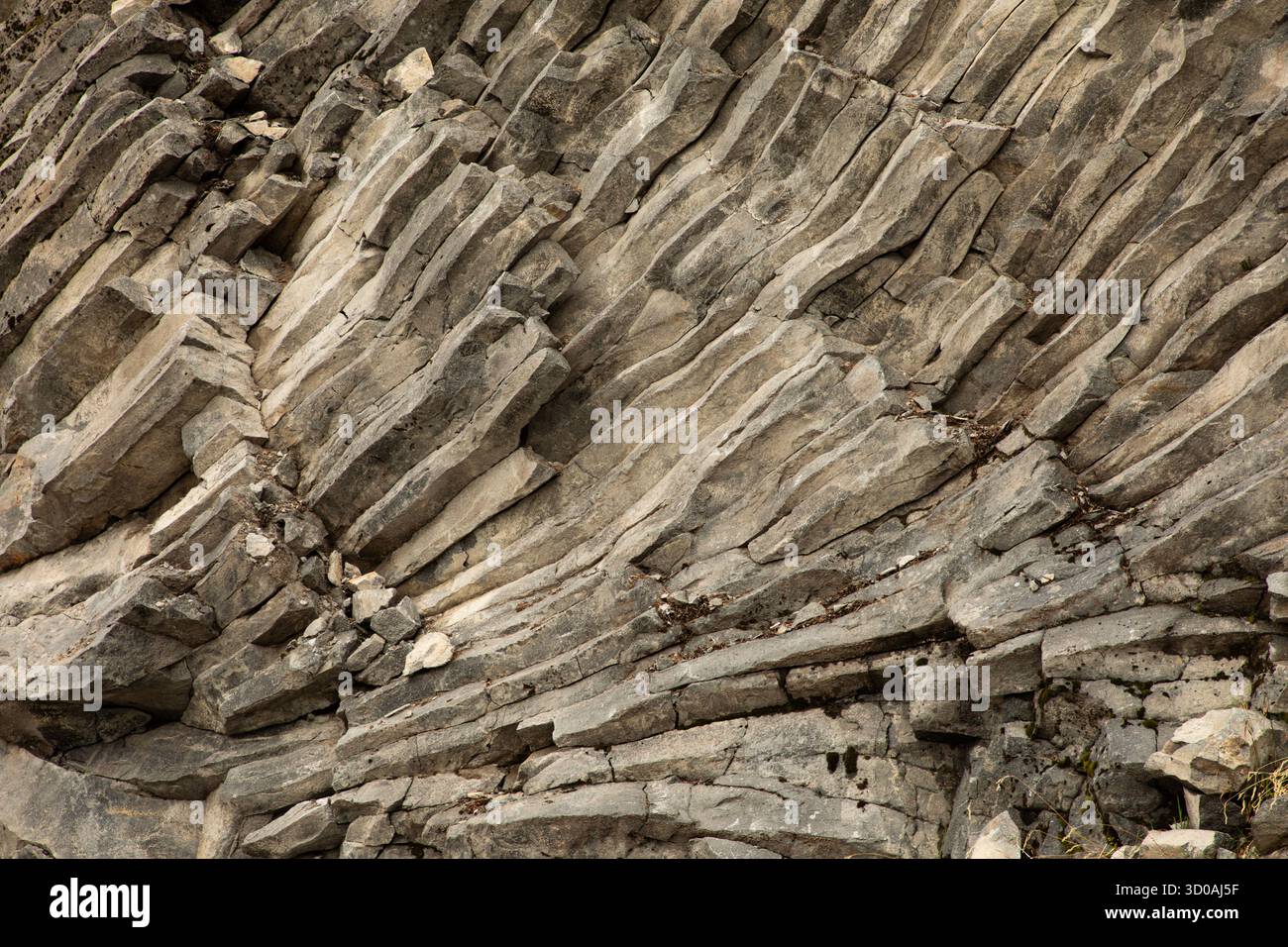 WA28616-00...WASHINGTON - Muster und Linien, die durch einen Auszug von Säulenbasalt entlang der Aritist Point Road im Mount Baker-Snoqualmie entstanden sind Stockfoto