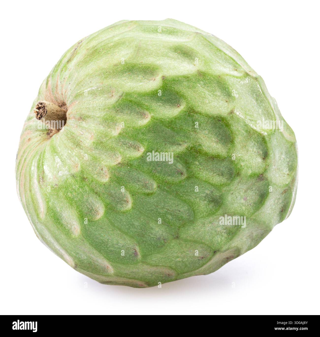 Pudding-Apfel oder Cherimoya-Frucht isoliert auf weißem Hintergrund. Beschneidungspfad Stockfoto