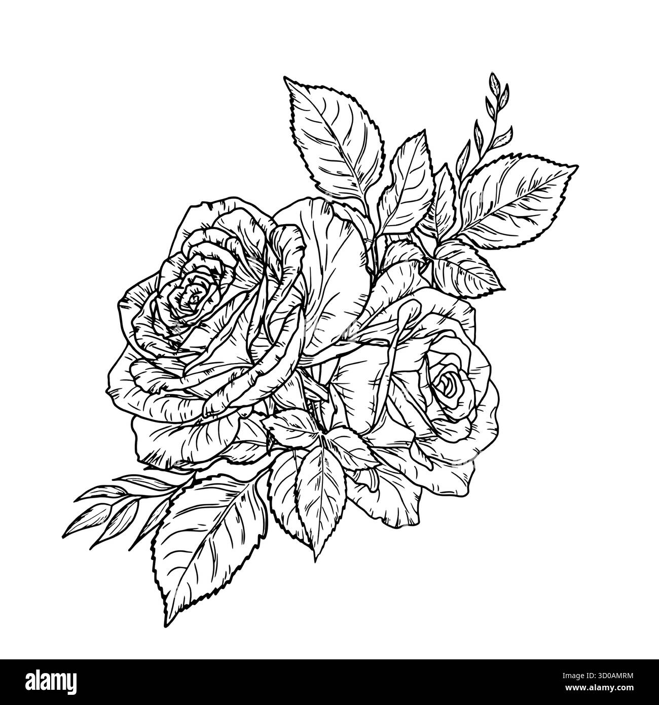 Ein Blumenstrauß aus Rosen mit Zweigen und Blättern, eine schwarz-weiße Skizze. Vektorabbildung. Eine blühende Rose mit Knospen, isoliert auf weißem Hintergrund. Bo Stock Vektor