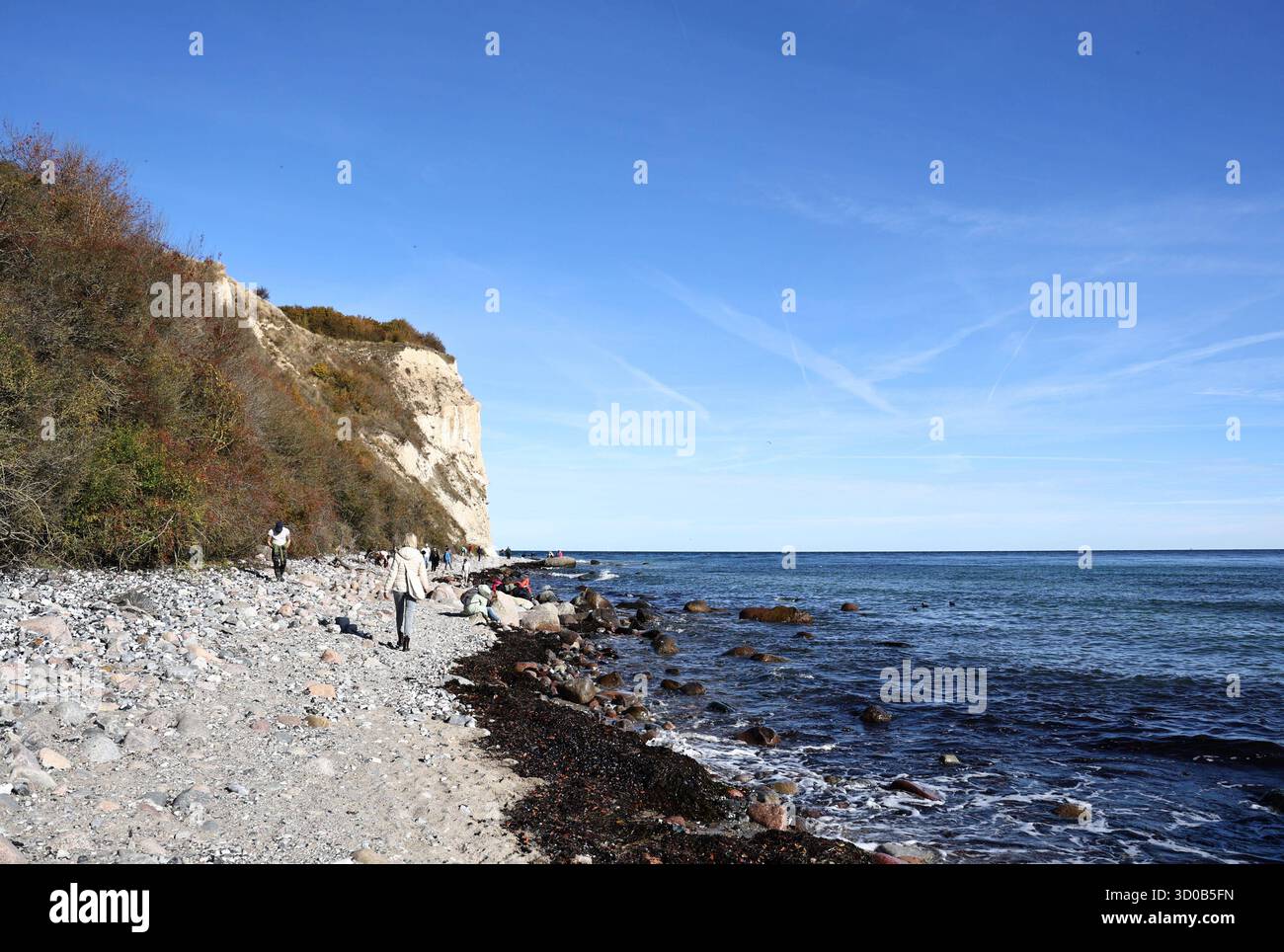 Insel Rügen 13.10.2025, Kap Arkona auf Rügen, Steinstrand entlang der Steilkueste, Touristen suchen hier nach Fossilien wie Donnerkeilen und Seeigeln, der Strand ist gepraegt von Feuersteinen, auch Huehnergoetter lassen sich finden *** Insel Rügen 13 10 2025, Kap Arkona auf Rügen, Steinstrand entlang der Klippen, Touristen suchen hier nach Fossilien wie Gewitter und Seeigeln, der Strand ist mit Ziegeln, der Strand ist mit Ziegeln gespickel, der Strand ist gepunktet, sogar Hühner kann man finden Stockfoto
