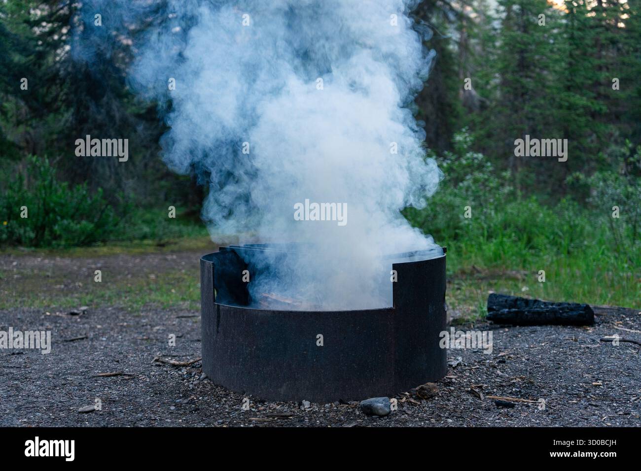 Eine Metallfeuerstelle, die Rauch vor dem Hintergrund eines grünen Waldes aufbläht. Takakkaw Falls, BC Stockfoto