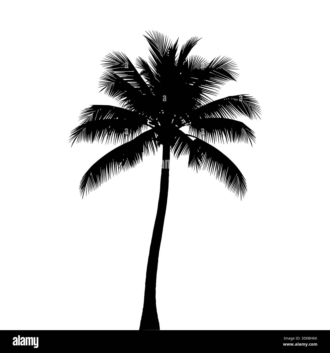 Silhouette einer hohen Kokospalme auf weißem Hintergrund. Stock Vektor