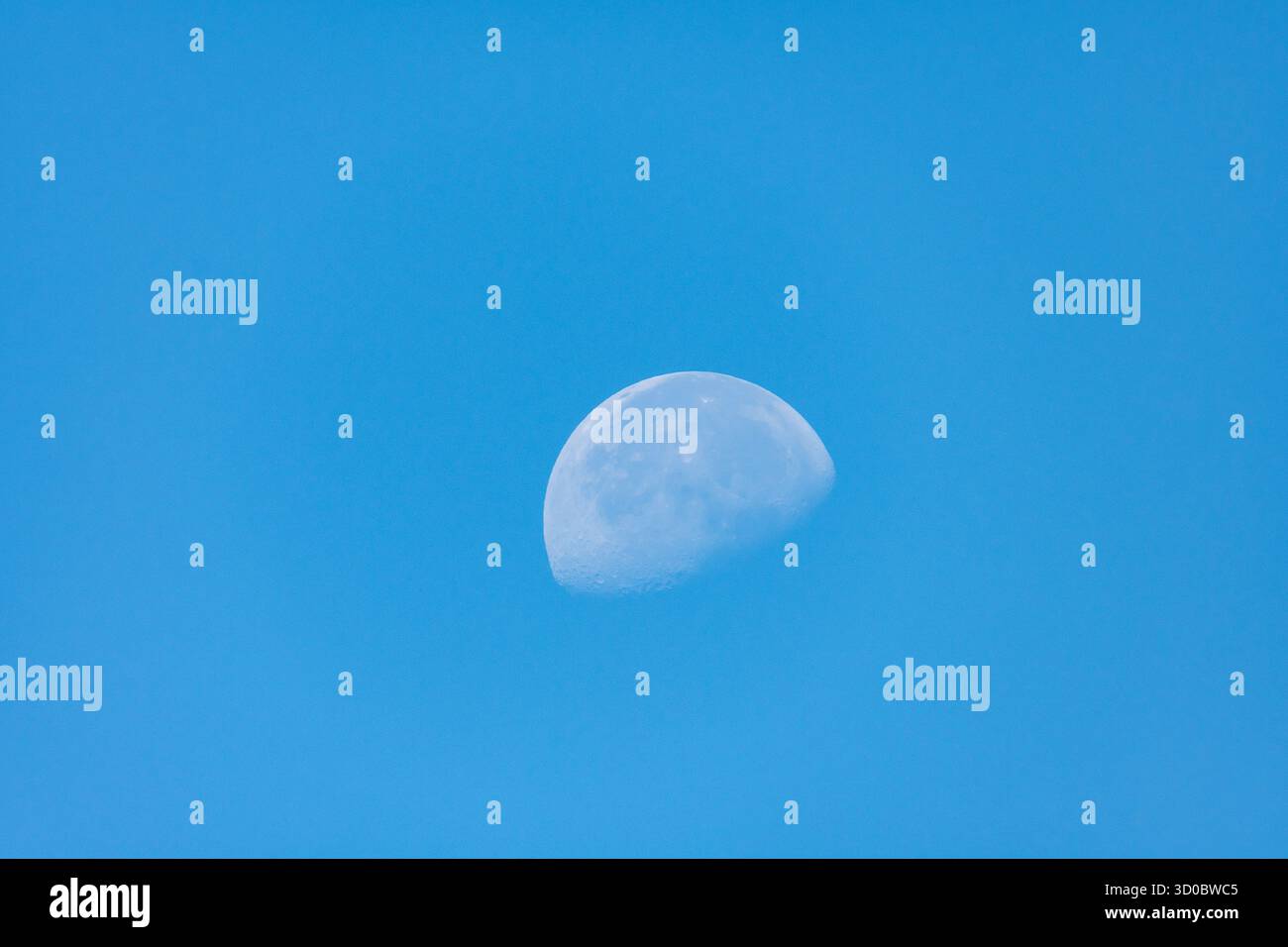 Ein Halbmond hängt hell an einem klaren blauen Himmel und zeigt seine detaillierte Oberfläche am späten Nachmittag. Stockfoto
