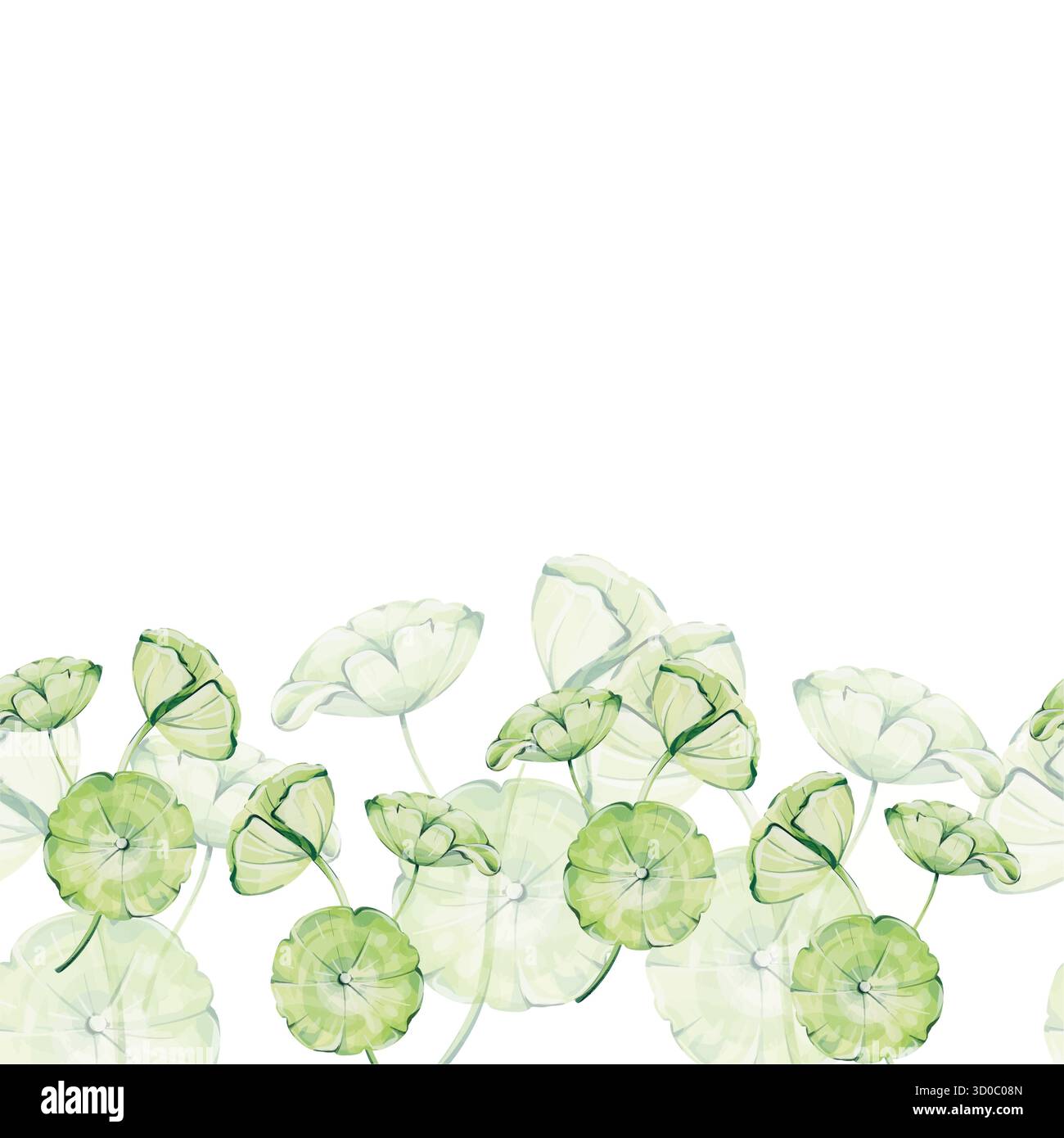 Gotu-Cola-Grenze, Centella asiatica-Aquarellvorlage, Blätter. Kräuterkosmetik, ayurveda Medizin Bio für Anti-Aging-Kosmetik mit rea Stock Vektor