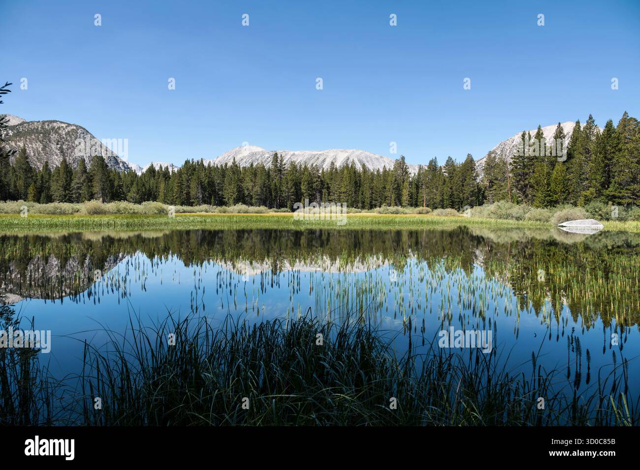 Blick auf den Teich entlang des Dorothy Lake Trail in der Nähe der Mammoth Lakes in den Sierra Nevada Mountains in Zentralkalifornien. Stockfoto