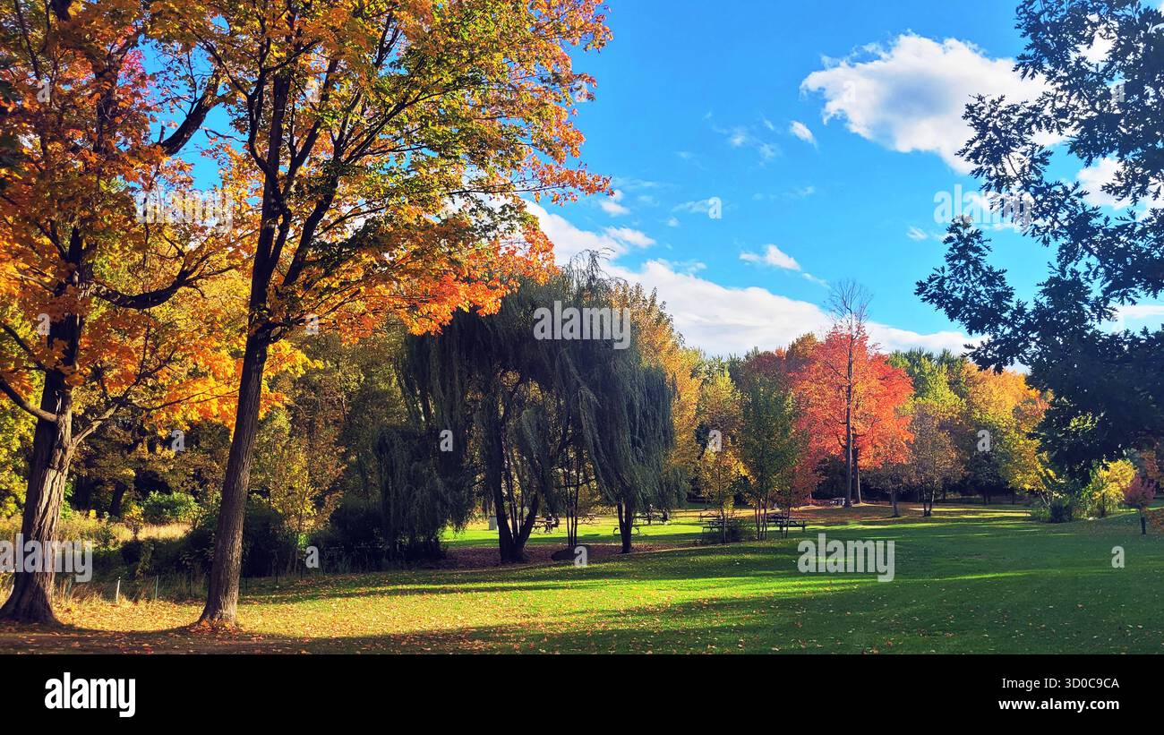 Die extravaganten Herbstfarben der Bäume des Parks an einem schönen sonnigen Tag Stockfoto