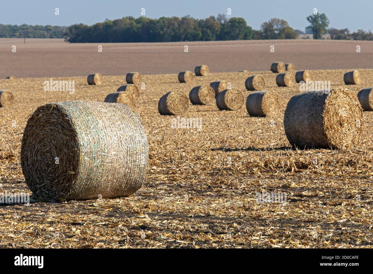 Steen, Minnesota – Runde Heuballen auf einem Feld auf einer Farm im Südwesten von Minnesota. Stockfoto