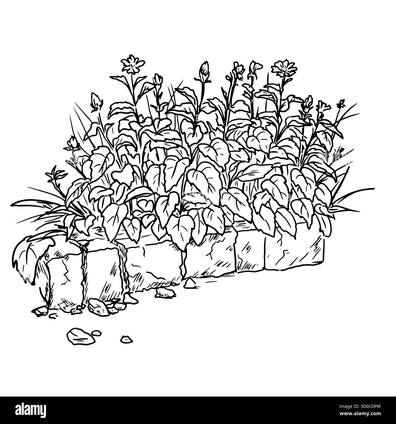 Ein üppiger Busch mit Laub und einem Steinzaun, Skizze. Vektorabbildung. Dickicht aus Gras und Wildblumen im Park, hervorgehoben auf einem weißen Hintergras Stock Vektor