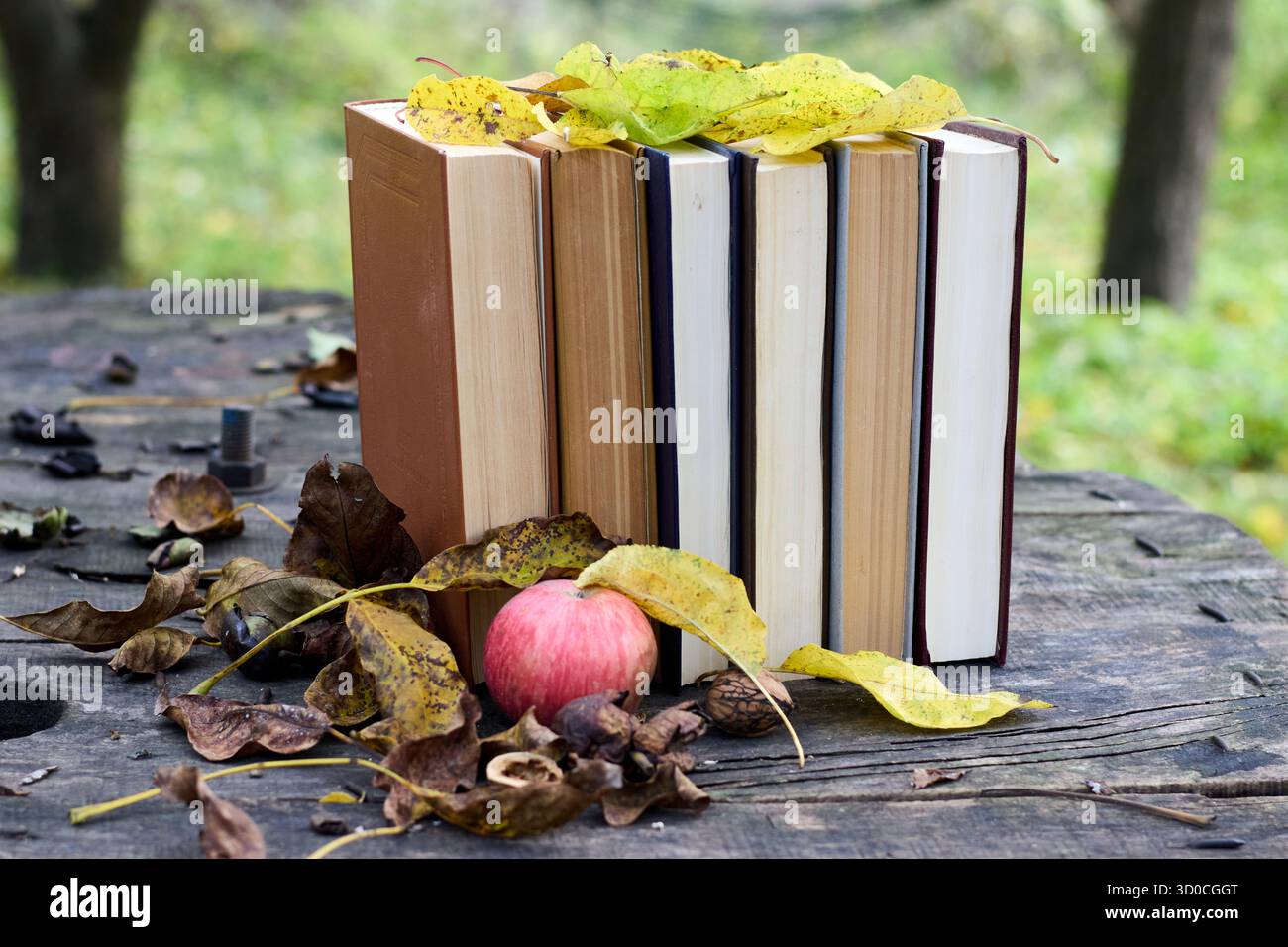 Ein Stapel Vintage-Bücher auf einem Holztisch mit einem Apfel, Herbstblättern und Nüssen schafft eine gemütliche und nostalgische Szene. Stockfoto