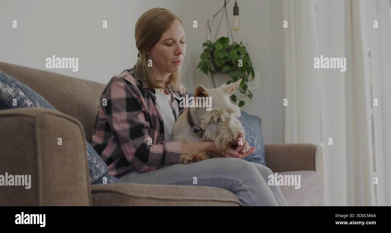 Sitzende weiße Erwachsene Frau, die einen kleinen Terrierhund auf beigefarbenem Sofa zu Hause hält, mit marineblauem Kissen Stockfoto