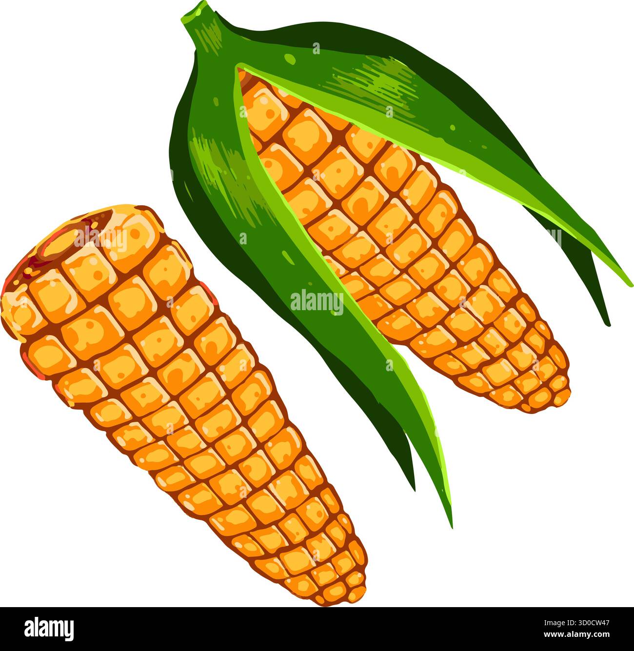Vektor-Illustration von zwei Reifen Maiskolben mit grünen Blättern. Handgezeichnete Maispflanze isoliert auf weißem Hintergrund Stock Vektor