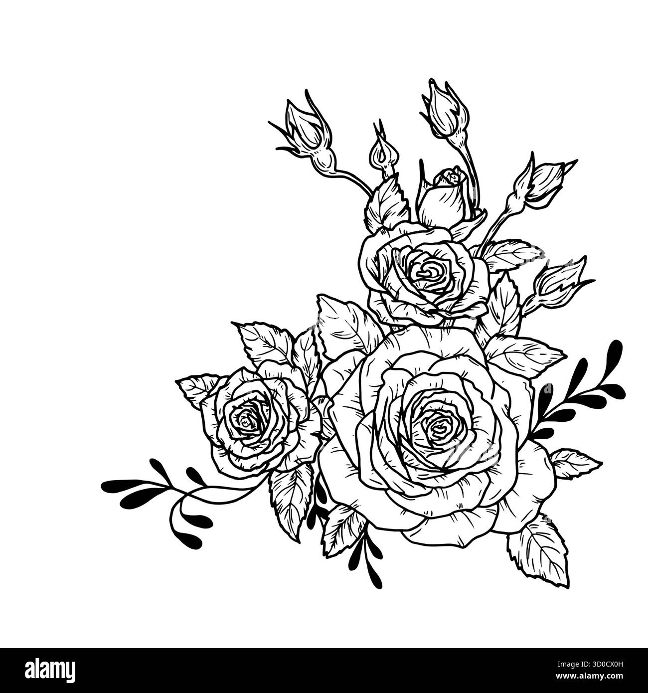 Ein Blumenstrauß aus Rosen mit Zweigen und Blättern, eine schwarz-weiße Skizze. Vektorabbildung. Eine blühende Rose mit Knospen, isoliert auf weißem Hintergrund Stock Vektor