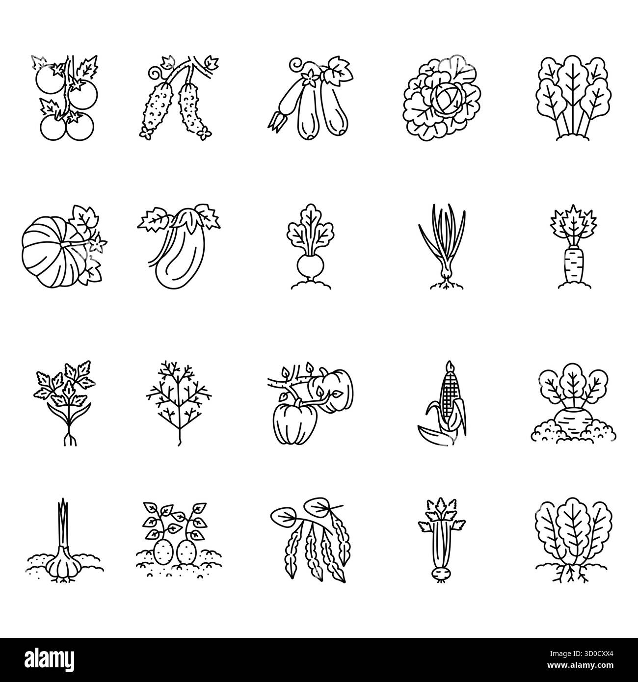 Schwarze Symbole für den Gemüseanbau für Digital- und Druckprojekte. Minimale bereinigte Symbole für Apps und Websites. Moderne einfache Symbole für UI UX und Stock Vektor