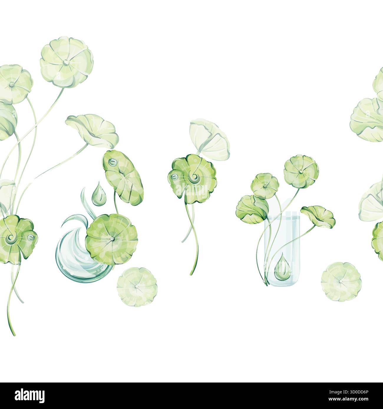 Centella asiatica Aquarellrand, gotu-Cola-Blätter in Röhre für kosmetische und Aquarellwellen-Vorlage. Kräuter-, ayurveda-Medizin-organisches Muster für Stock Vektor