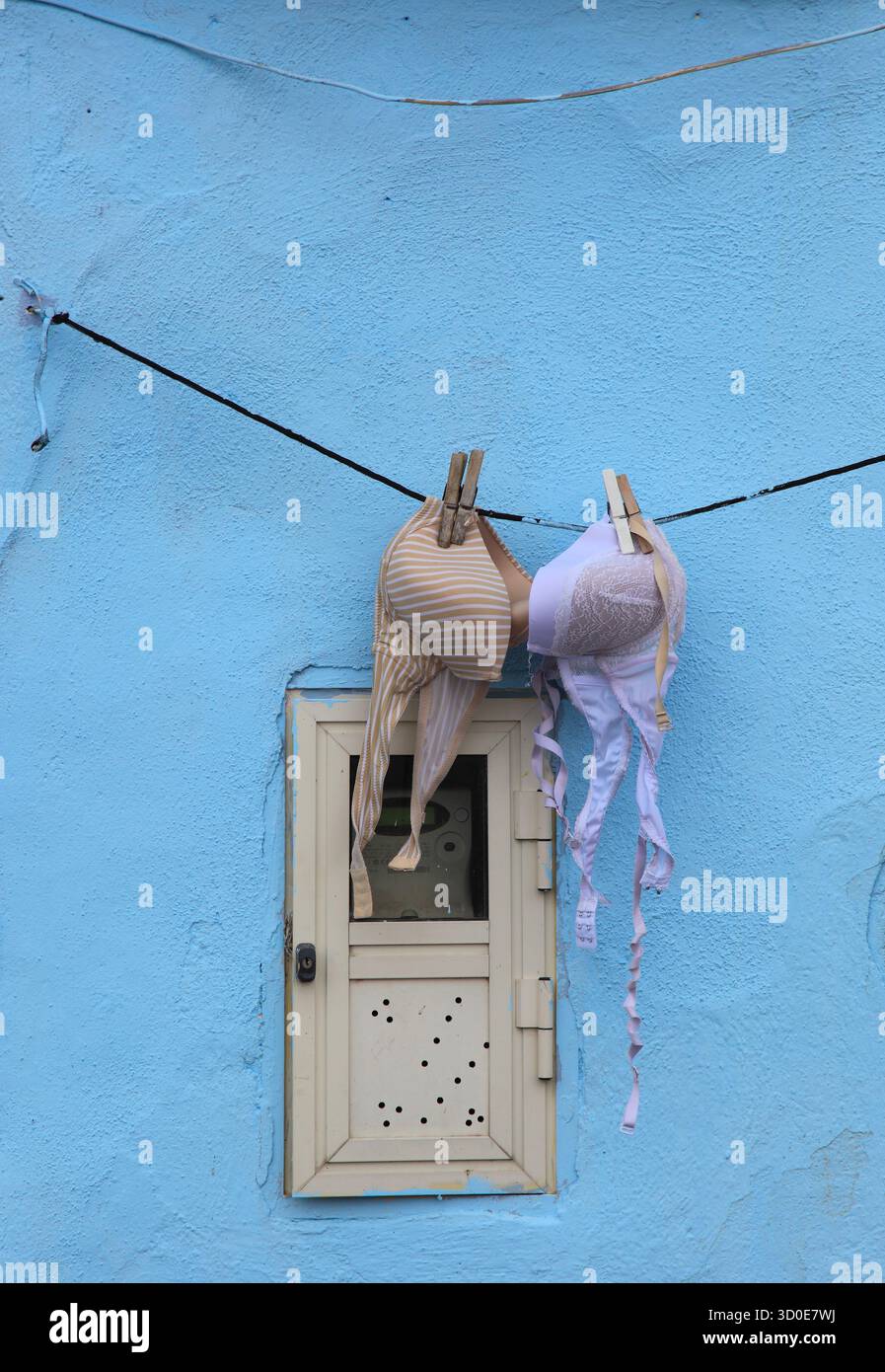 Detail in der Altstadt, BHs trocknen vor einer blauen Hauswand, Procida Island, Golf von Neapel, Phlegräische Inseln, Kampanien, Italien Stockfoto