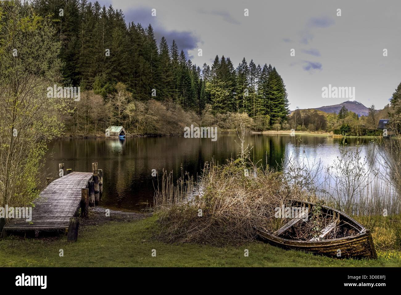 Blick vom Loch ARD auf Ben Lomond in der Ferne Stockfoto