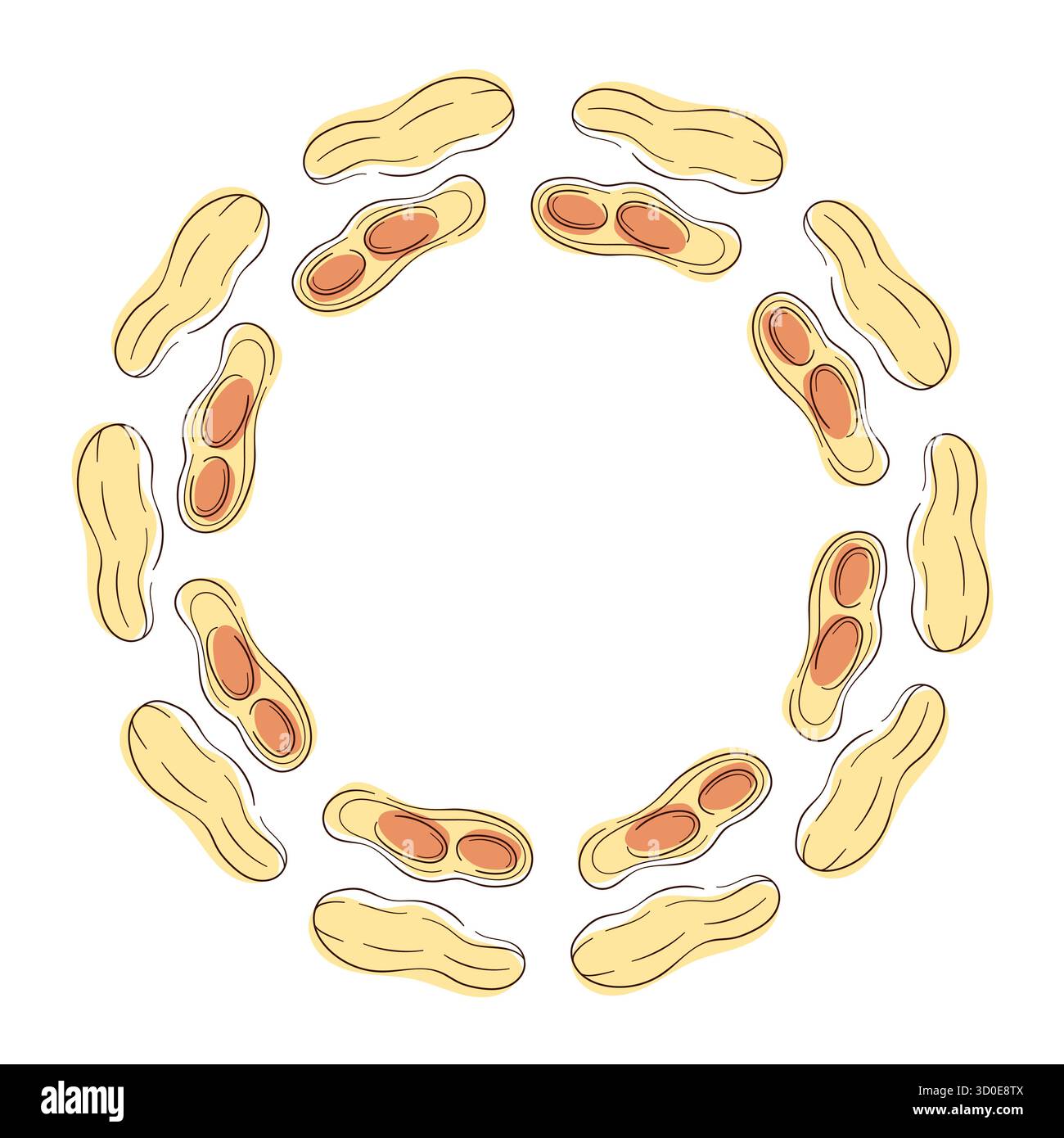 Kreisförmiger Kranz mit Erdnuss in der Schale und Hälften auf weißem Hintergrund in einer einfachen flachen Illustration. Stock Vektor
