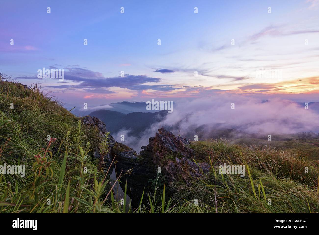 Wunderschöne Landschaft Natur auf dem Gipfel mit Sonnenwolke Nebel und hellen Farben von Himmel und Sonnenlicht während Sonnenuntergang im Winter am Aussichtspunkt Phu Chi Fa F Stockfoto