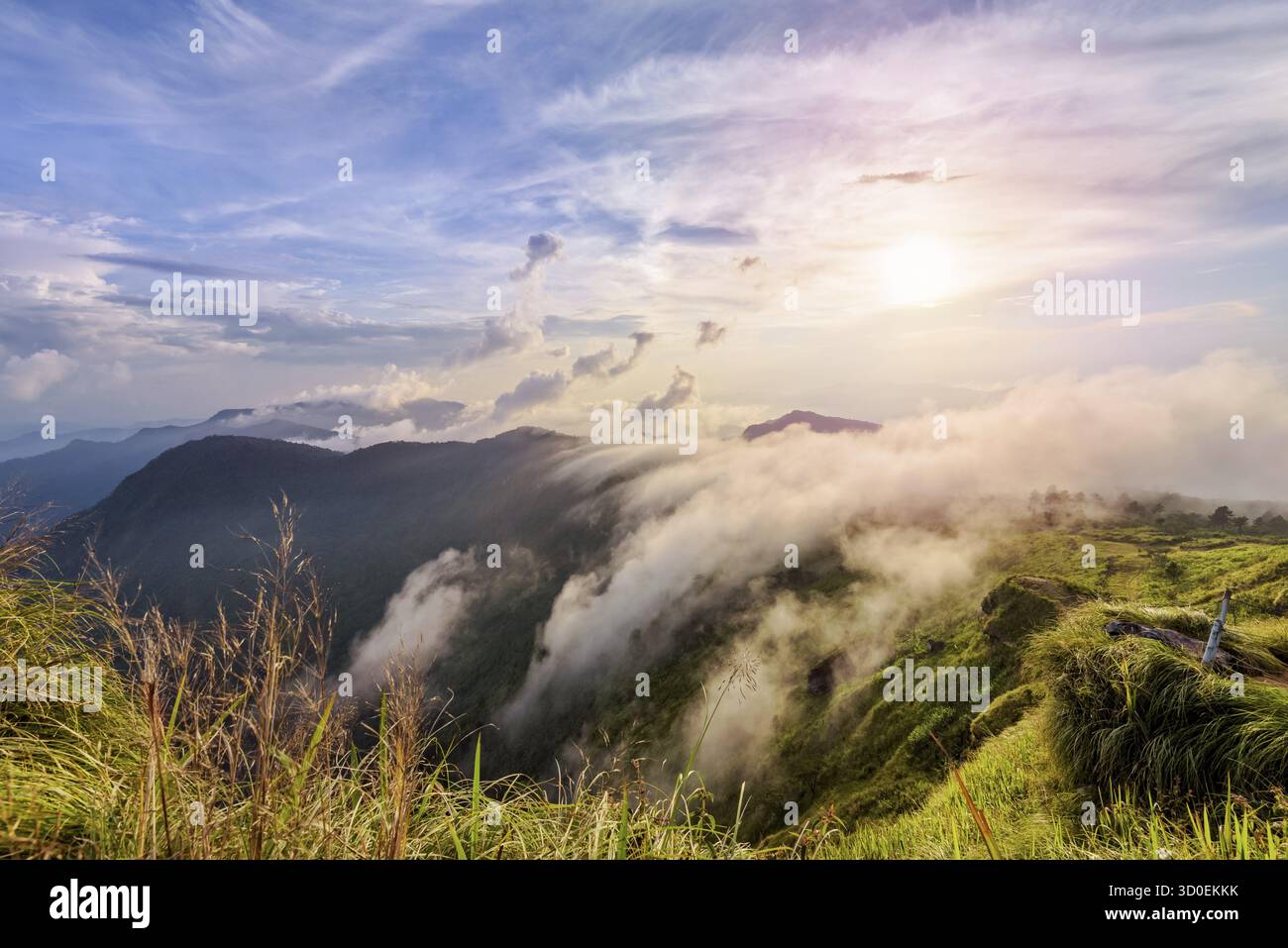 Wunderschöne Landschaft Natur auf dem Gipfel mit Sonnenwolke Nebel und hellen Farben von Himmel und Sonnenlicht während Sonnenuntergang im Winter am Aussichtspunkt Phu Chi Fa F Stockfoto
