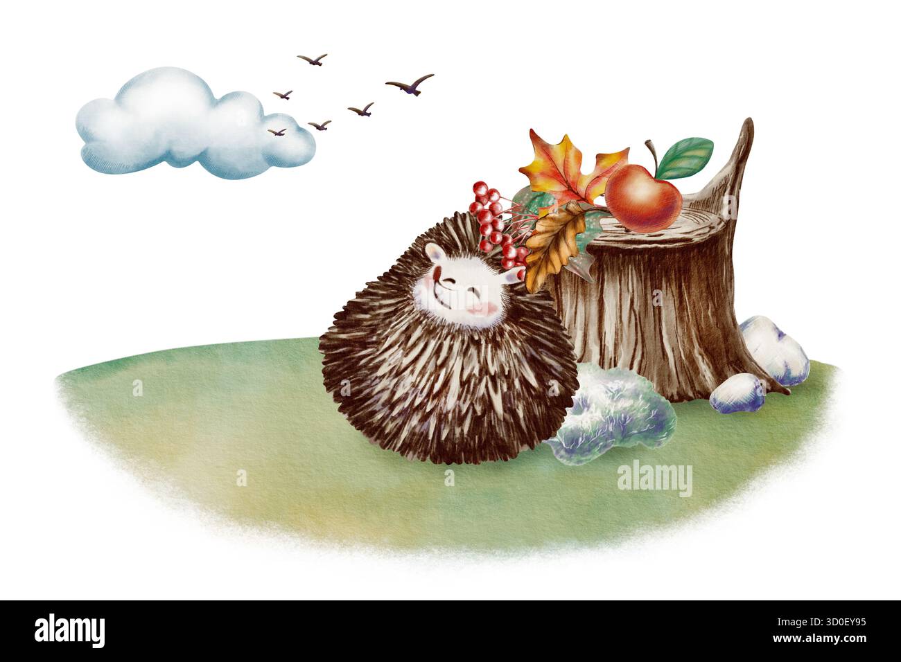 Lustiger Langhaarigel, der sich in einem Ball zusammengerollt hat, sieht die Vögel an, die in die Wolken schweben, in der Nähe eines Stumpfes mit Kieseln und Moos mit Herbstahorn und Stockfoto