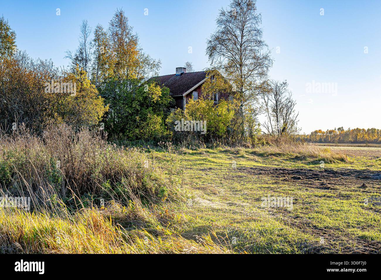 Ödland Stockfoto