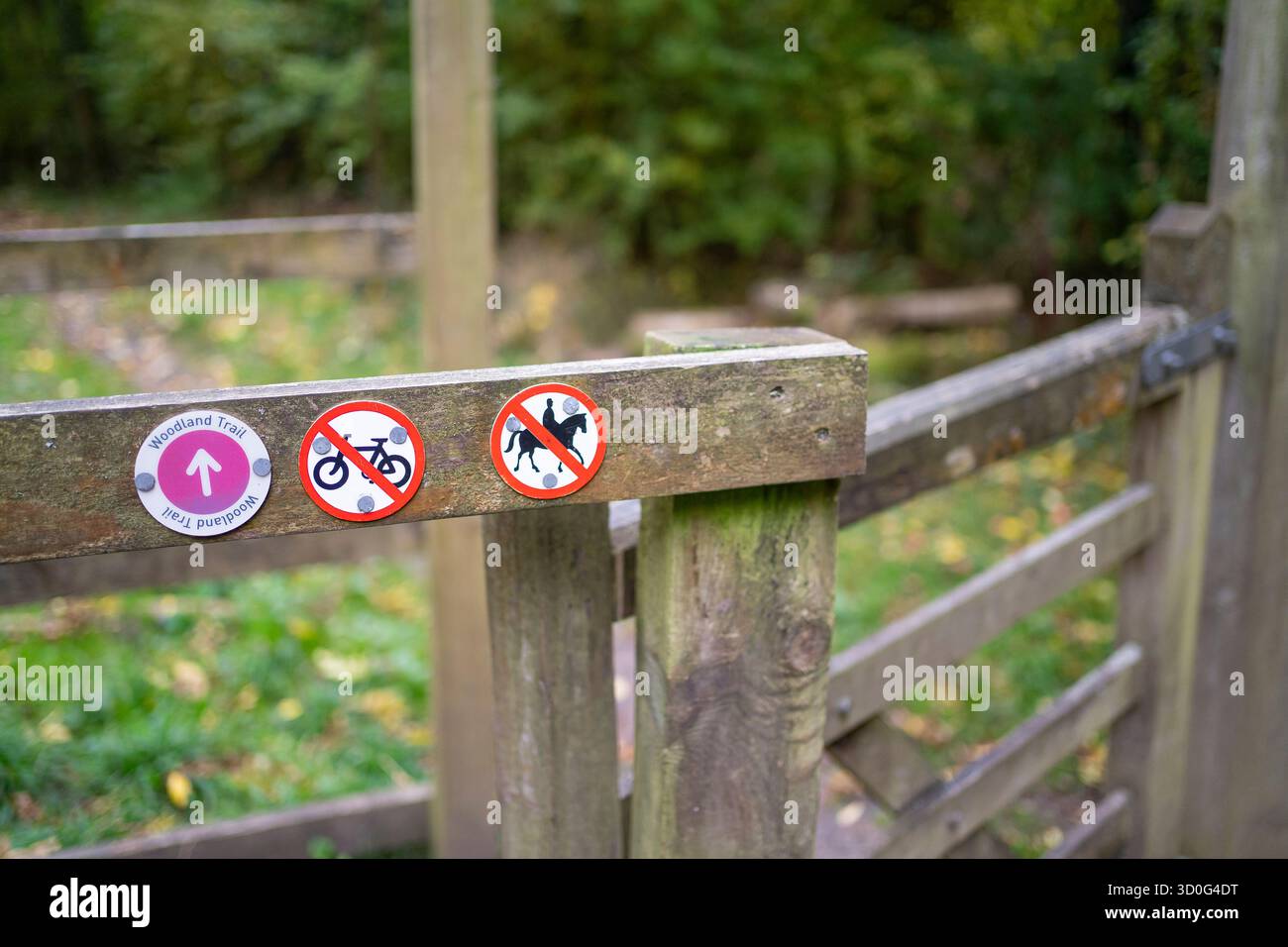 Informationen über die Landschaft des Vereinigten Königreichs: 3 runde Schilder, die an einem Holztor durch einen Wald angebracht sind und die Öffentlichkeit informieren: Woodland Trail, No Cycling und No Horses. Stockfoto