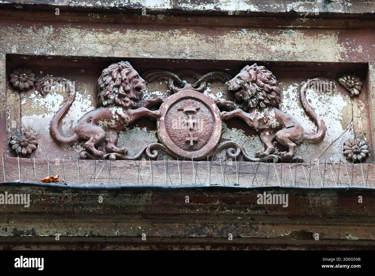 Das Wappen der Stadt Danzig mit Löwen an der Fassade eines historischen Gebäudes Stockfoto