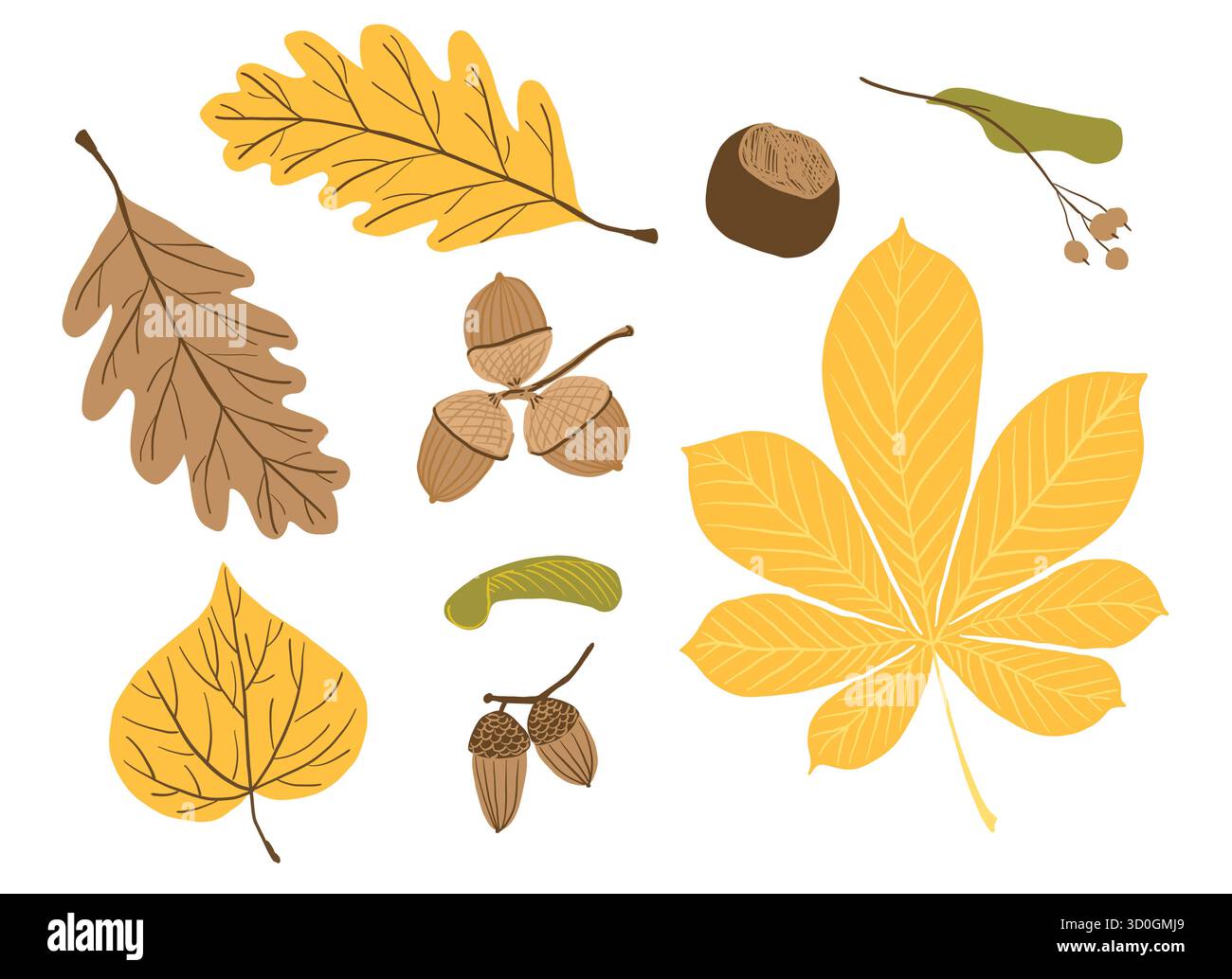 Herbstwaldelemente. Handgezeichnete Herbstkollektion. Eiche, Kastanie, Linde, Ahornblätter, Eicheln, Samen, Kastaniennuss, Lindenzweig. Stock Vektor