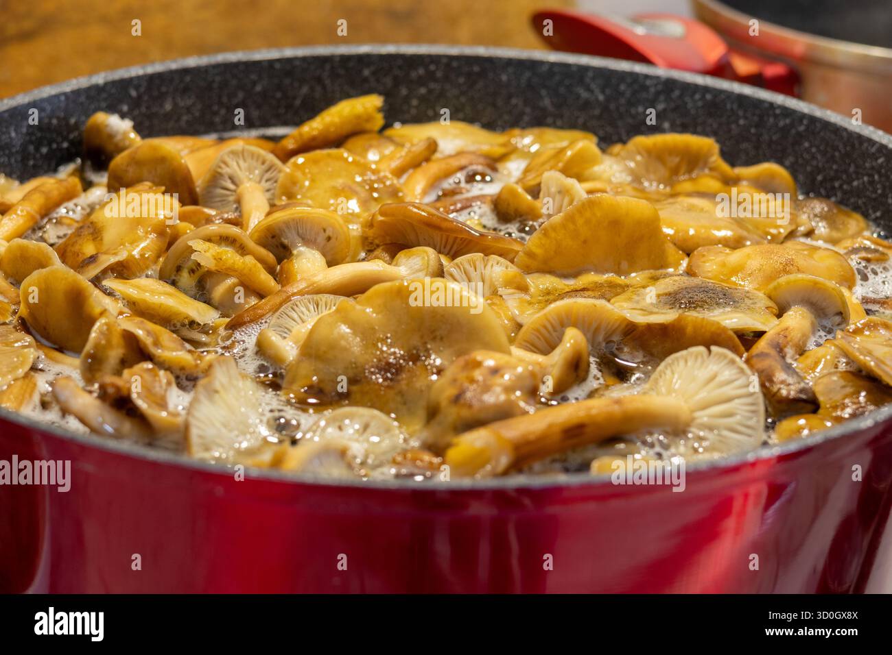 Frische Wildpilze kochen in einem Topf, Kochprozess aus nächster Nähe Stockfoto