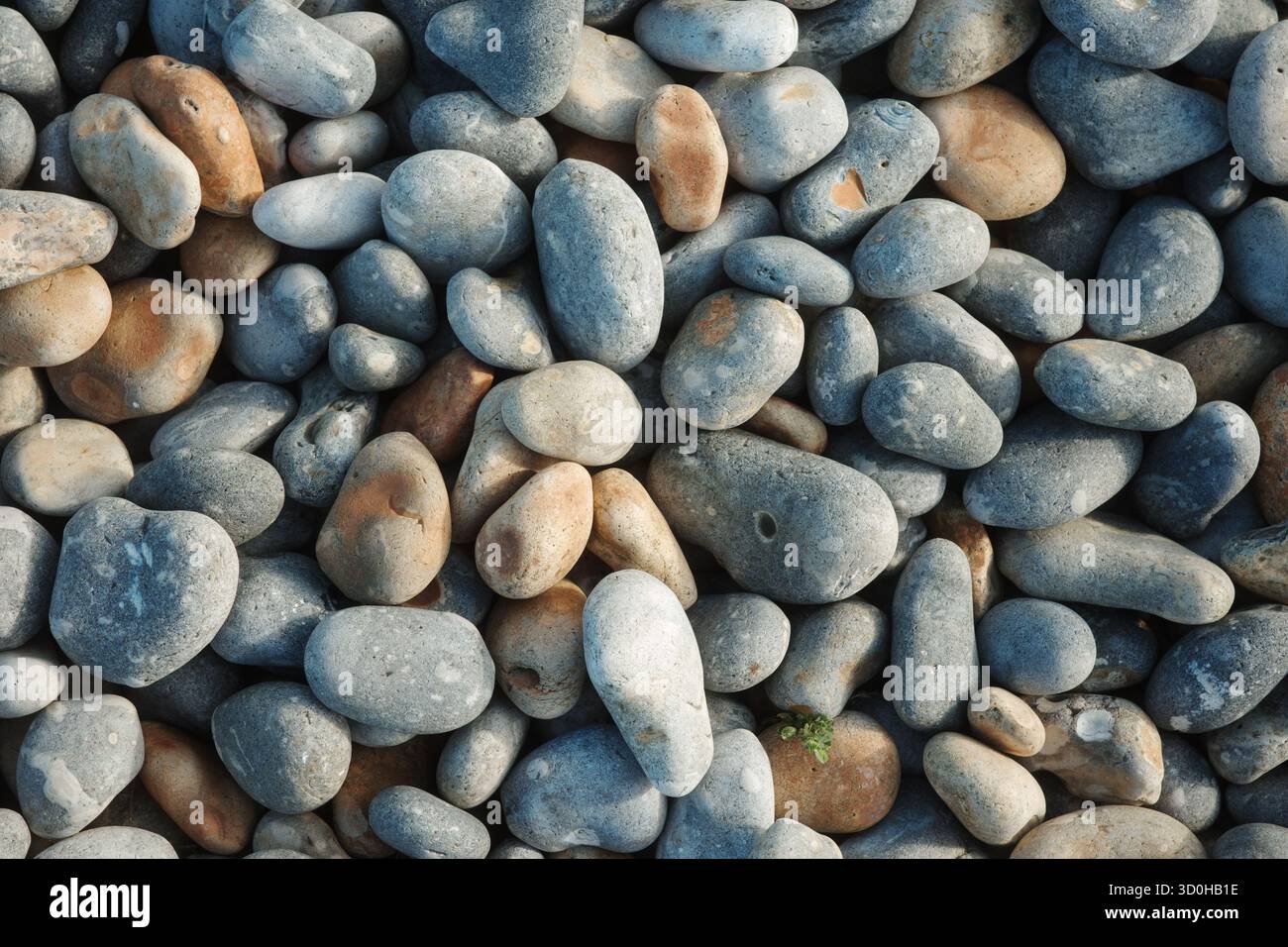 Ein Blick von oben auf die Beach Pebbles. Stockfoto