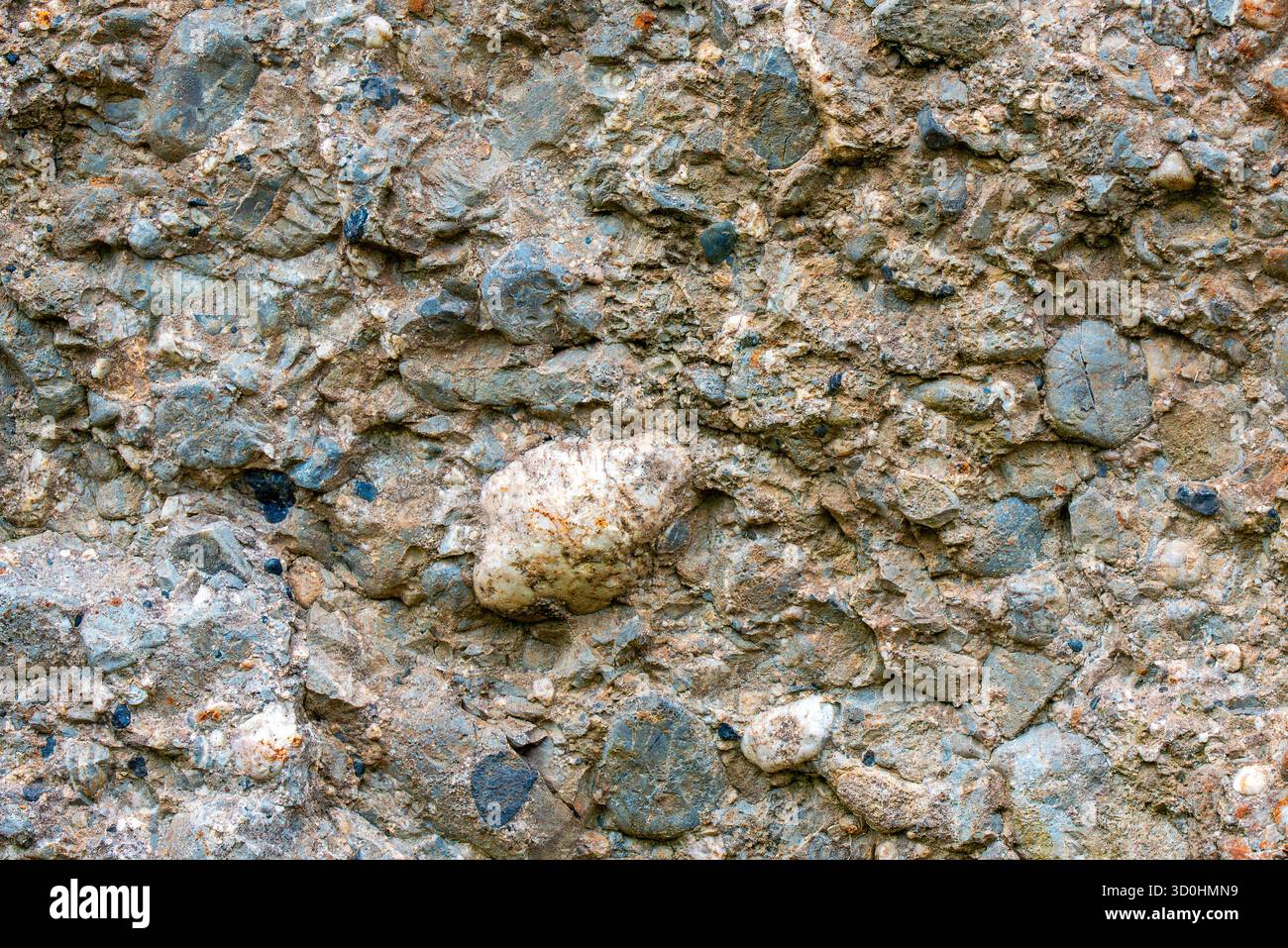 Nahaufnahme von Menhir-Konglomeratgestein / Standstein mit Clasts und Matrix in Wéris, Luxemburg, belgischen Ardennen, Wallonien, Belgien Stockfoto