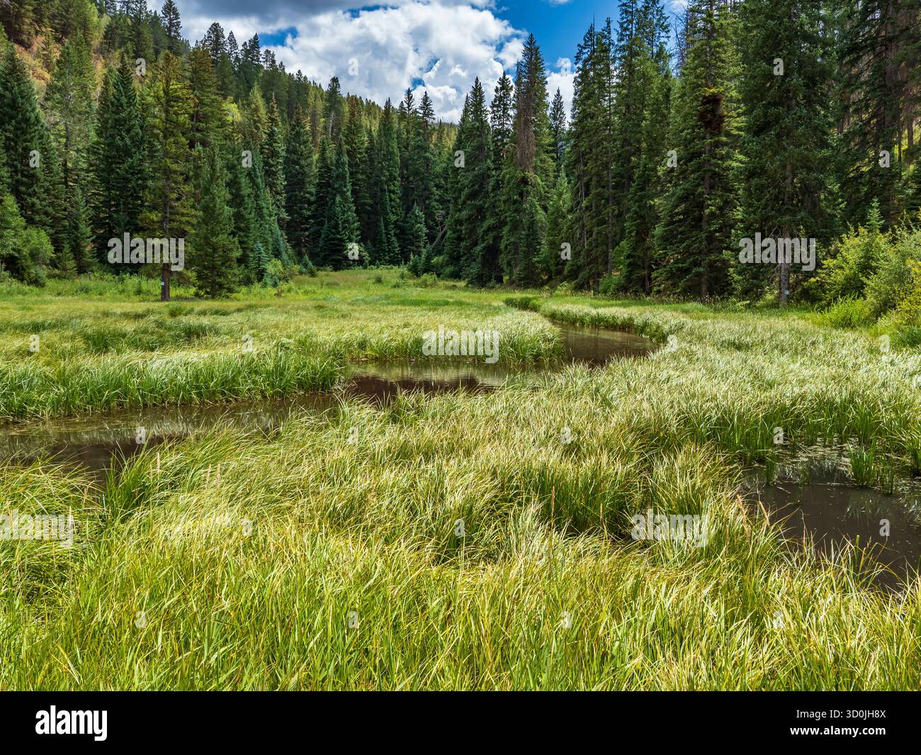 West Brush Creek Inlet zum Sylvan Lake State Park, Eagle, Colorado. Stockfoto
