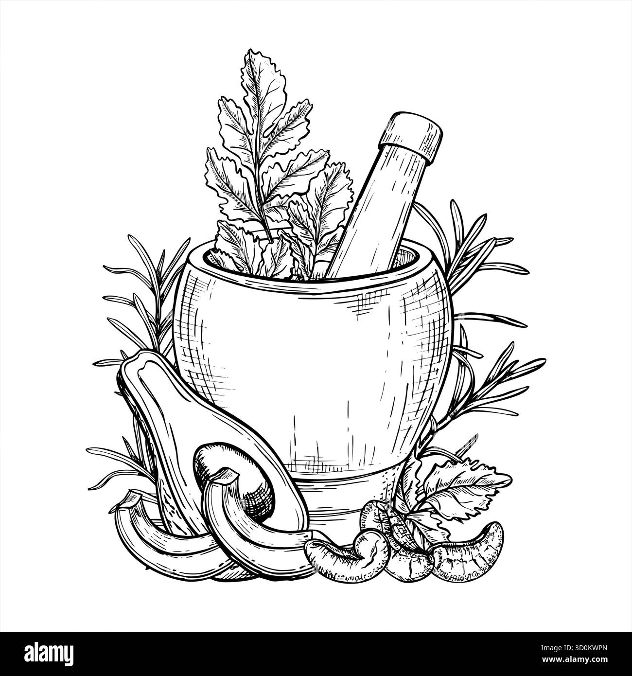 Cashew, Avocado und aromatisches Kraut hacken, um Soße Vektor schwarz weiß isolierte Illustration zu machen. Ätzzeichnung von Fruchtscheiben, Nüssen, Rosmarin Stock Vektor