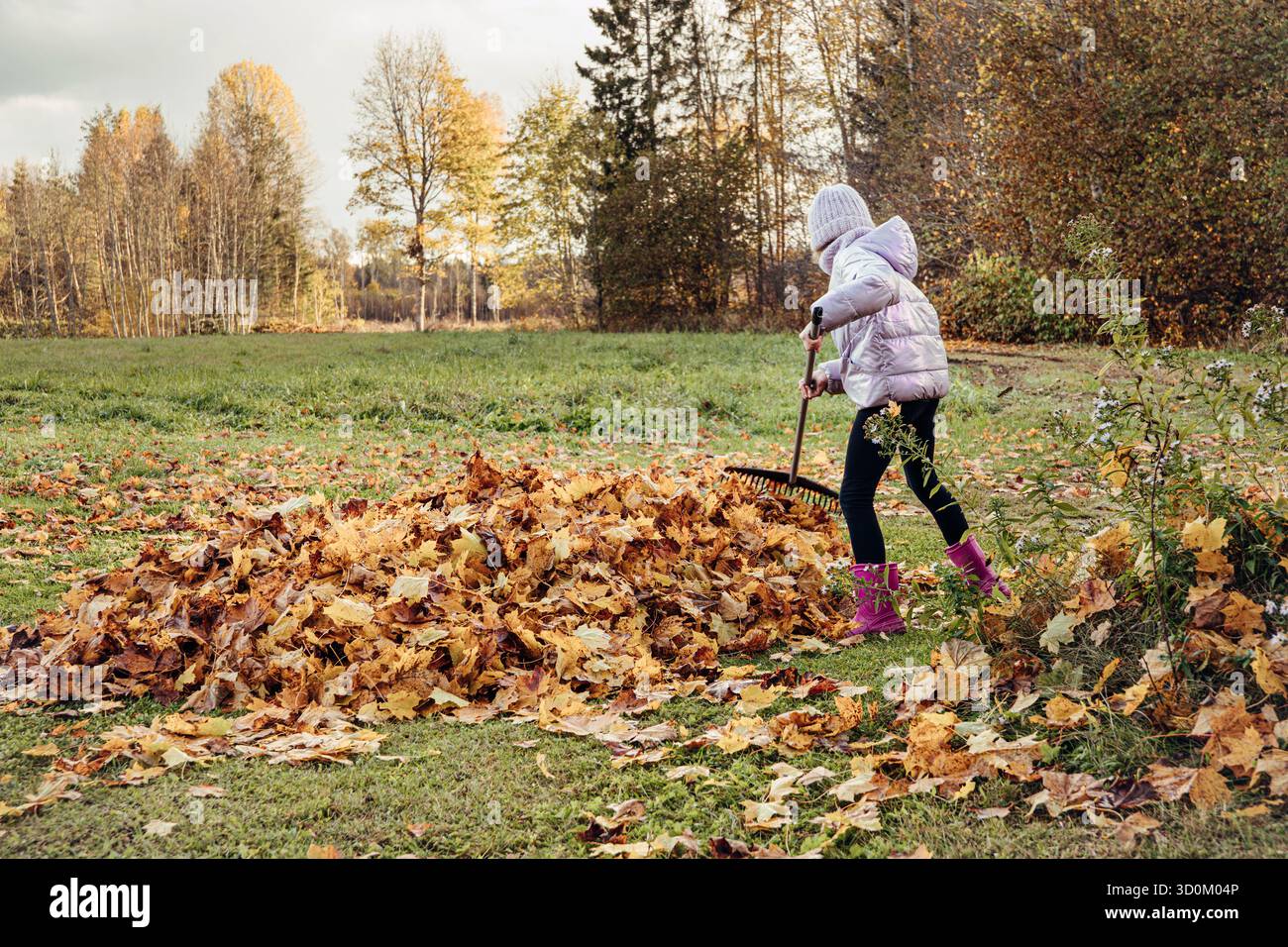 Ein 9-jähriges Mädchen harkt im Garten zu Hause mit einem Laubrechen an einem schönen Herbsttag Blätter. Ein großer Haufen gelber Ahornblätter. Stockfoto