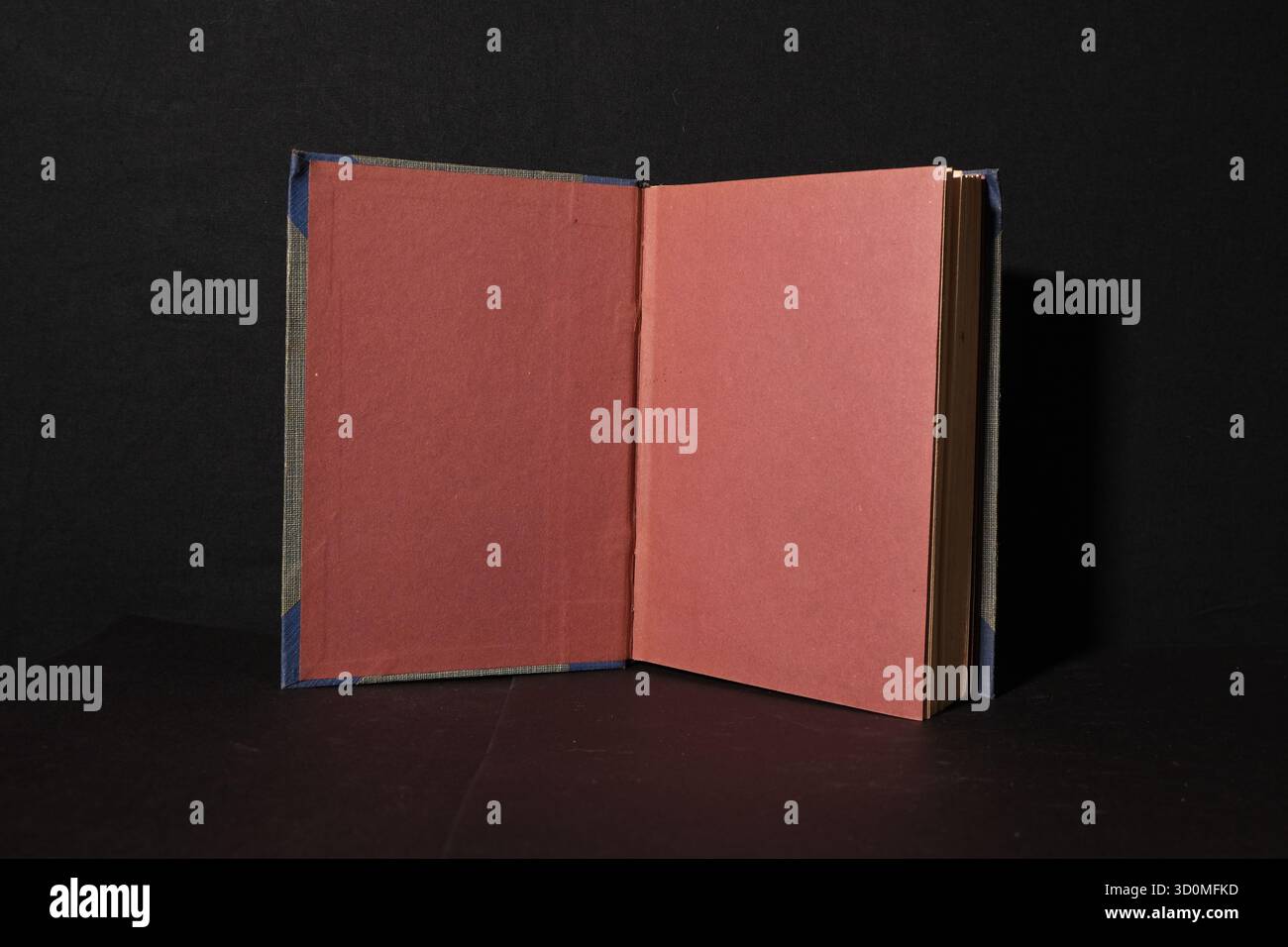 Offenes Buch mit leeren Endpapieren (Flyleaf) in kontrastierender Rot-/Terrakottafarbe. Der Seitenblock hat sichtbare vergoldete Kanten (vergoldeter Besatz). Stockfoto