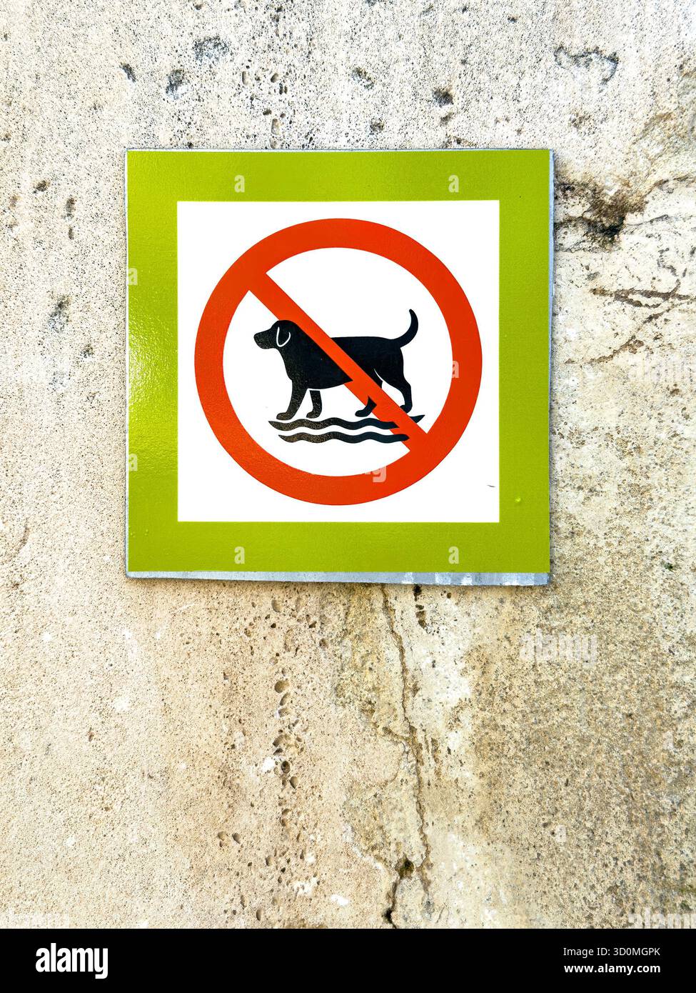 Warnschild an der strukturierten Wand mit auffälligen roten und schwarzen Grafiken, dass Hunde nicht im Strandbereich oder im Meerwasser dürfen - Smartphone-aufgenommenes Stockfoto