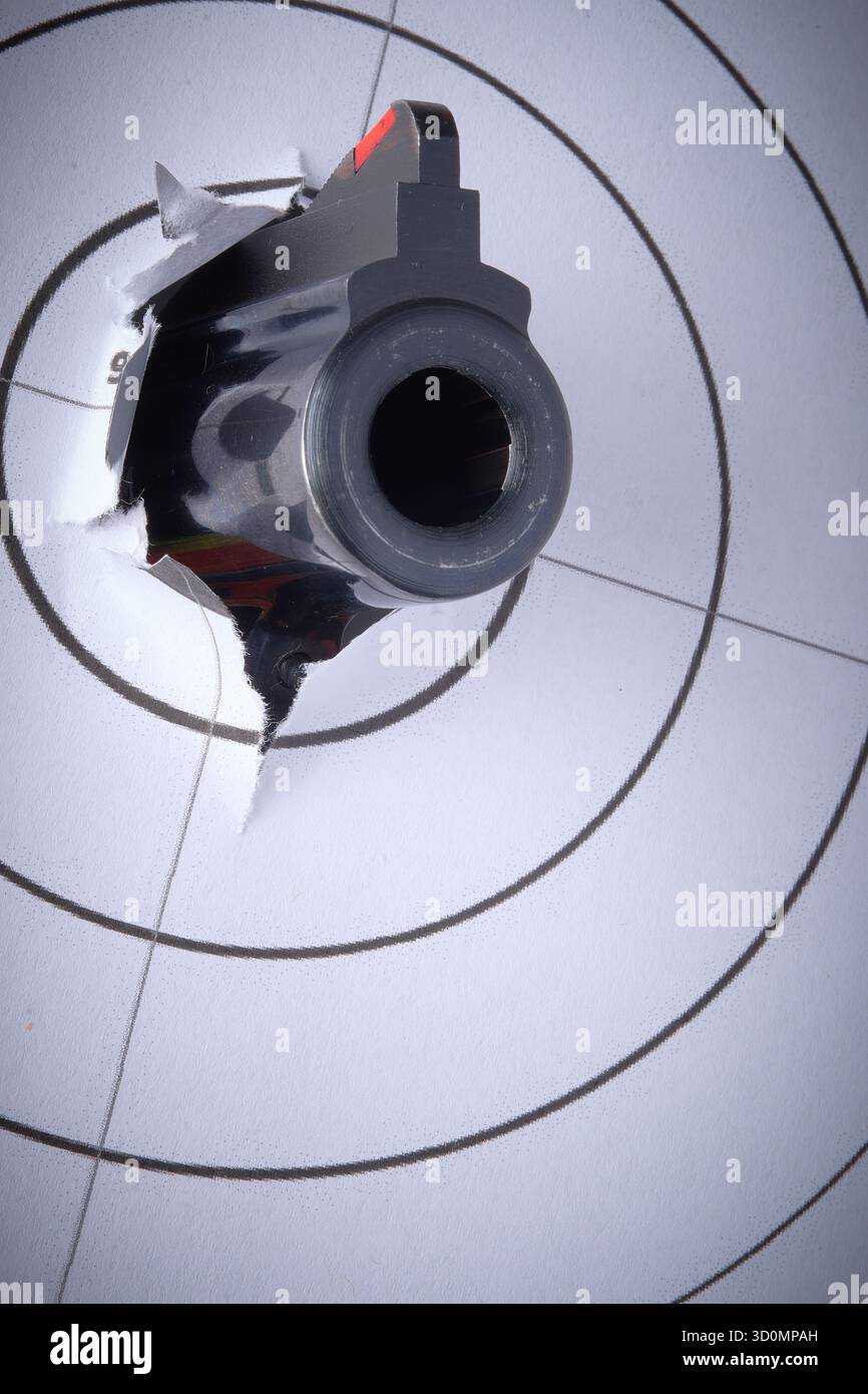 Pistole und Ziel, .41 Smith & Wesson Magnum, Waffenkontrolle Stockfoto