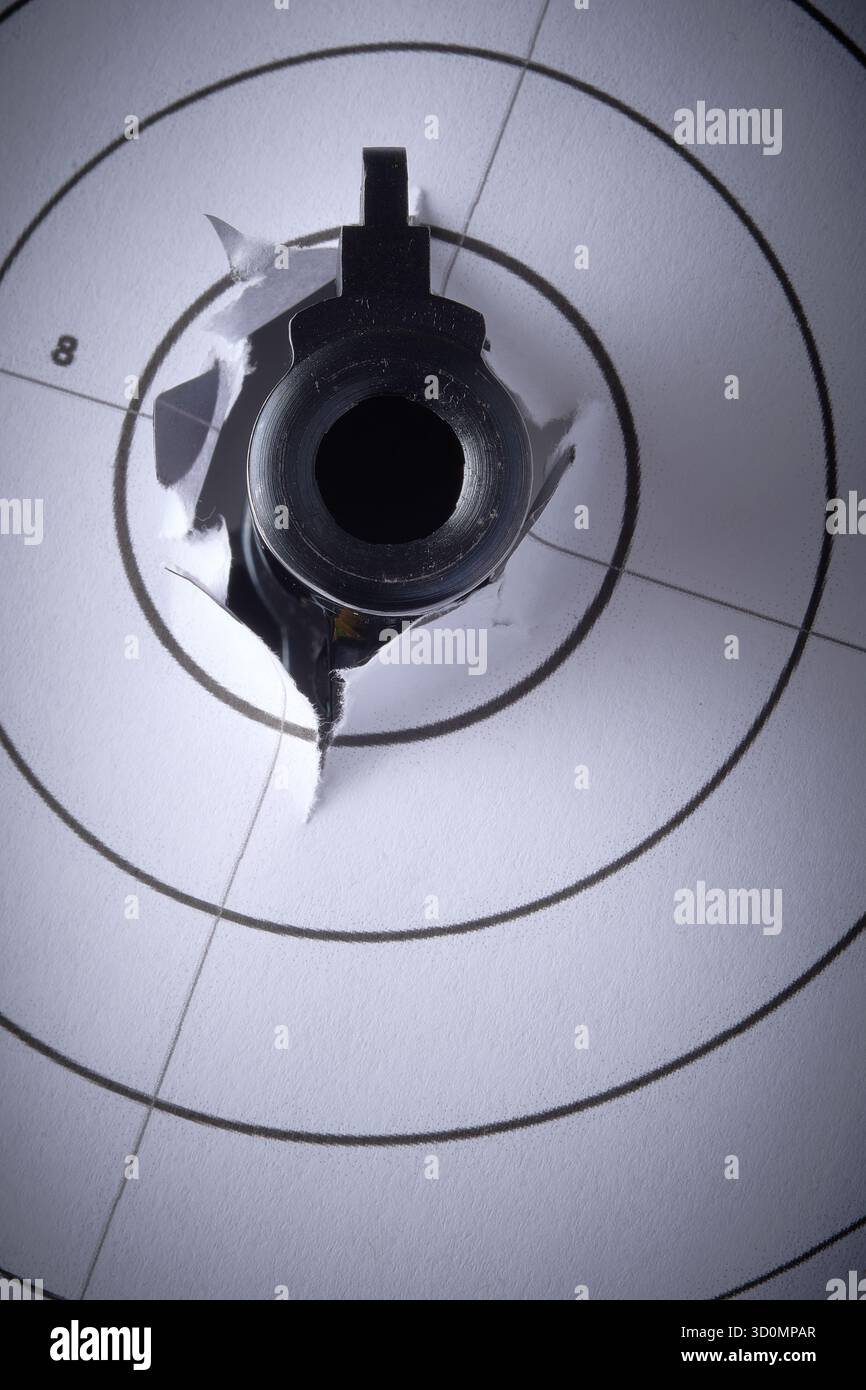 Pistole und Ziel, .41 Smith & Wesson Magnum, Waffenkontrolle Stockfoto