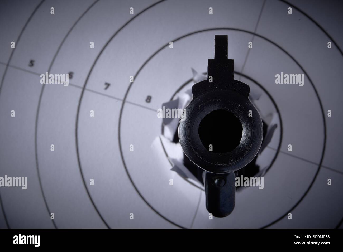 Pistole und Ziel, .41 Smith & Wesson Magnum, Waffenkontrolle Stockfoto