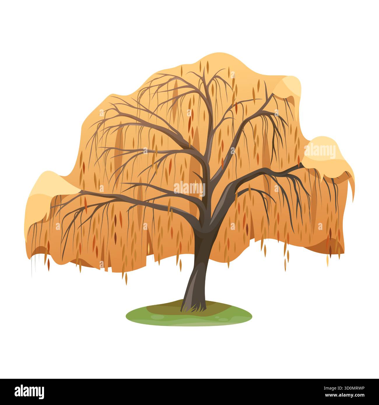 Trauerweide im Herbst. Vektor-salix-Baumsymbol. Schild für Wald oder Wald, Park für Ökosystemschutz. Natursaison für Flora. Botanik und Biologie. Stamm und Holz, Wildtiere. Stock Vektor