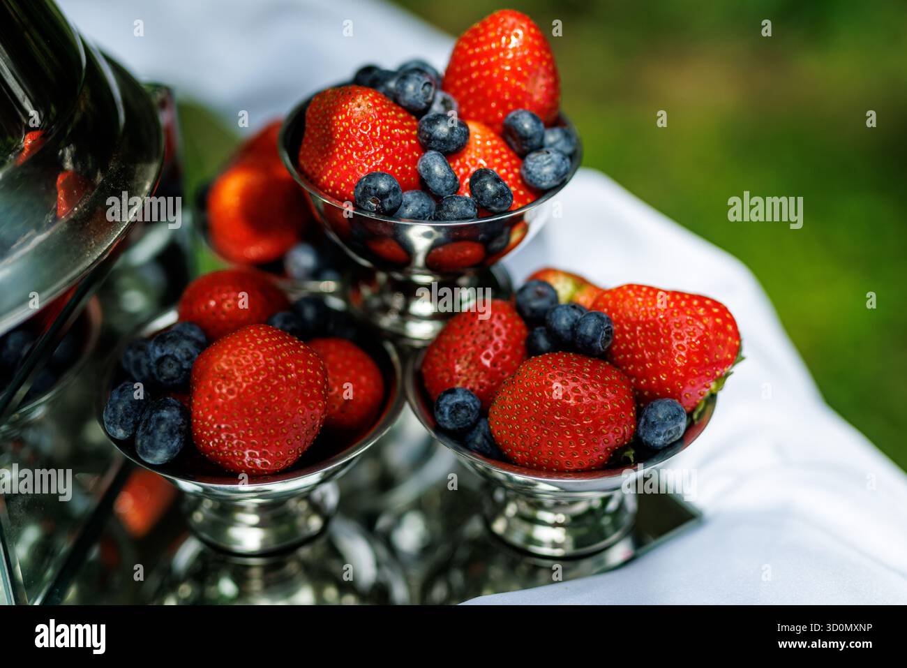 Frische Erdbeeren und Heidelbeeren in Dessertschalen aus Metall für Catering oder Obstbüfett im Freien. Stockfoto