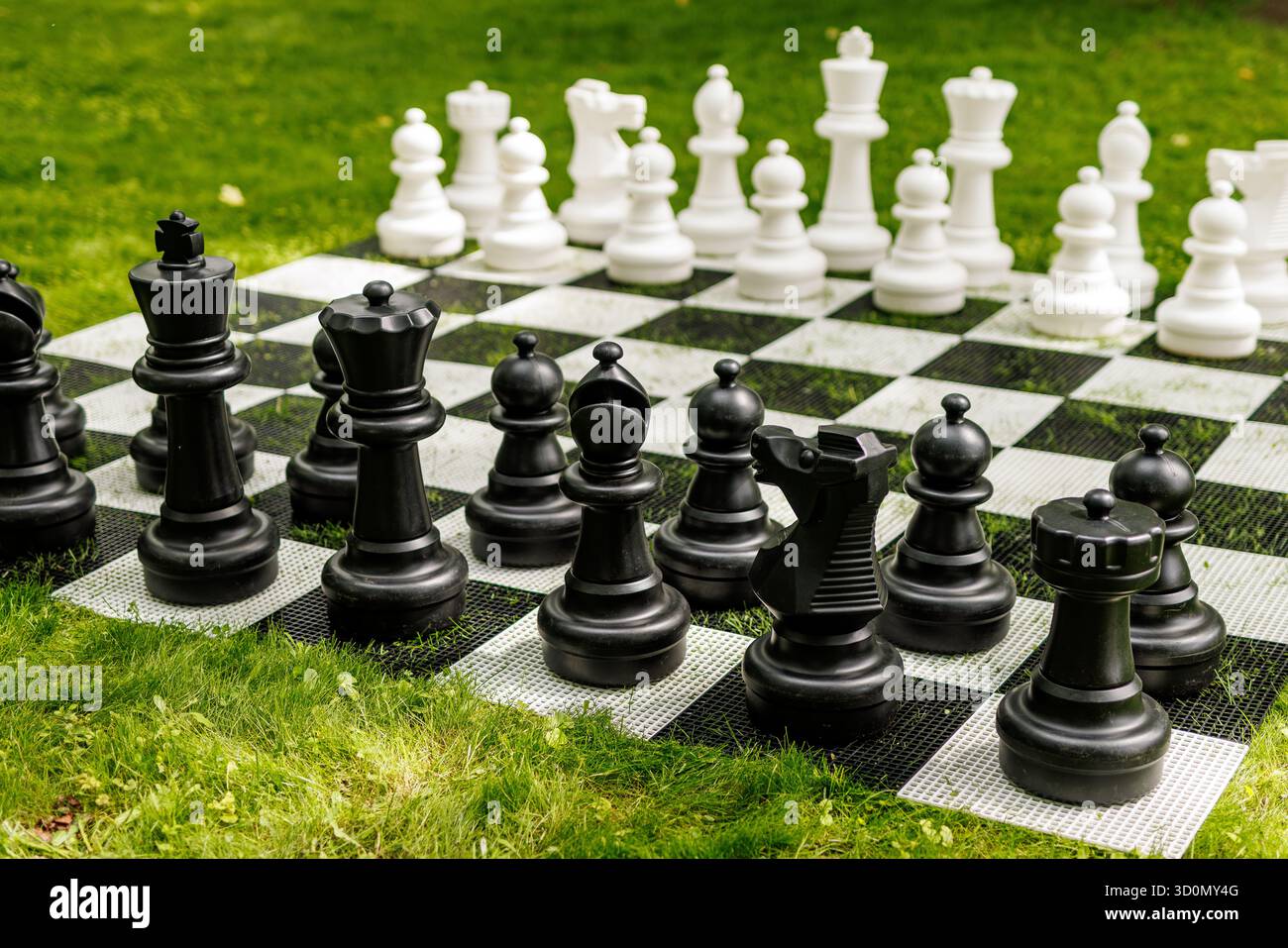 Große schwarz-weiße Schachfiguren, die auf einem karierten Brett auf grünem Gras im Freien angeordnet sind. Stockfoto